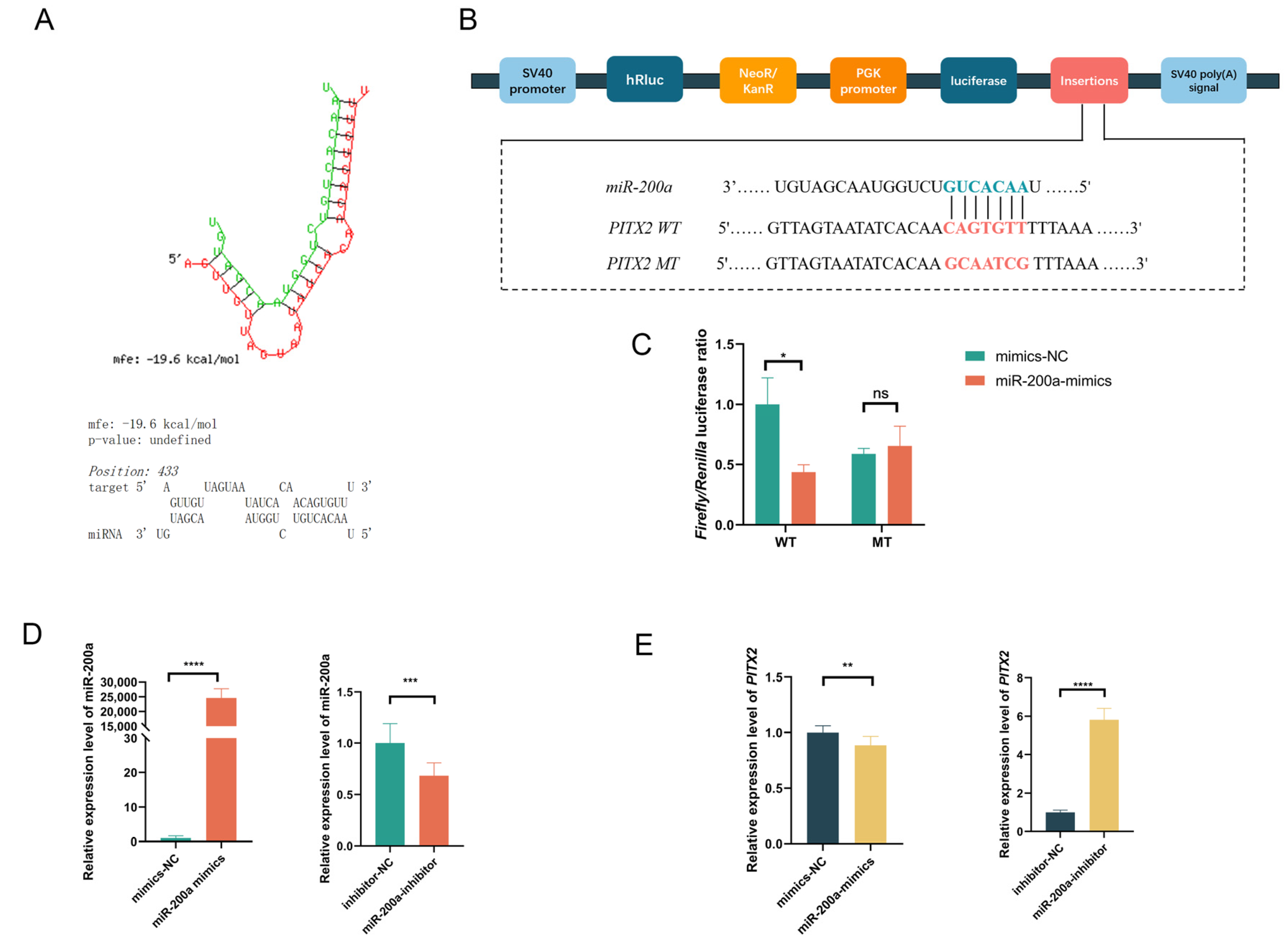 Animals 15 03171 g003