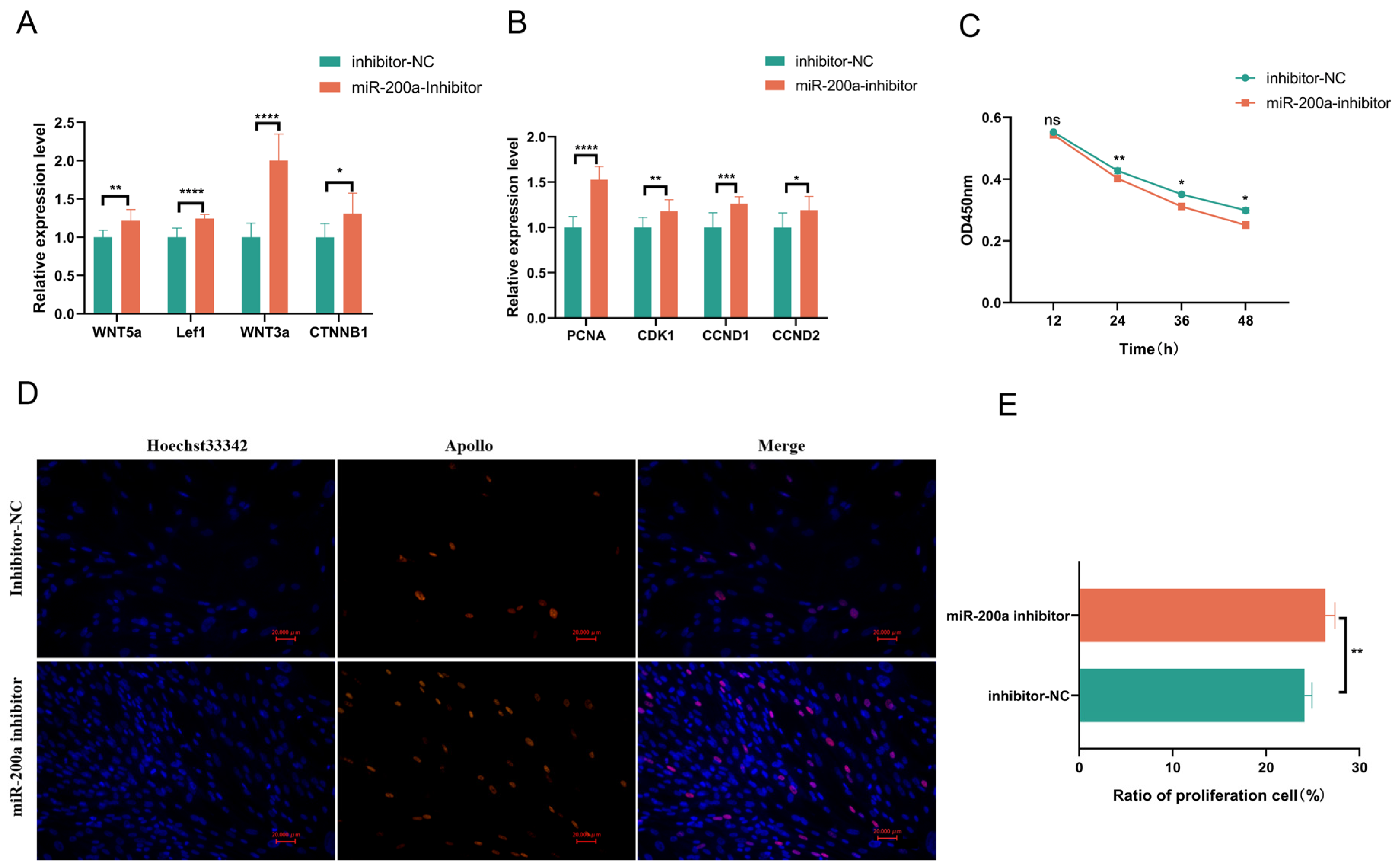 Animals 15 03171 g005