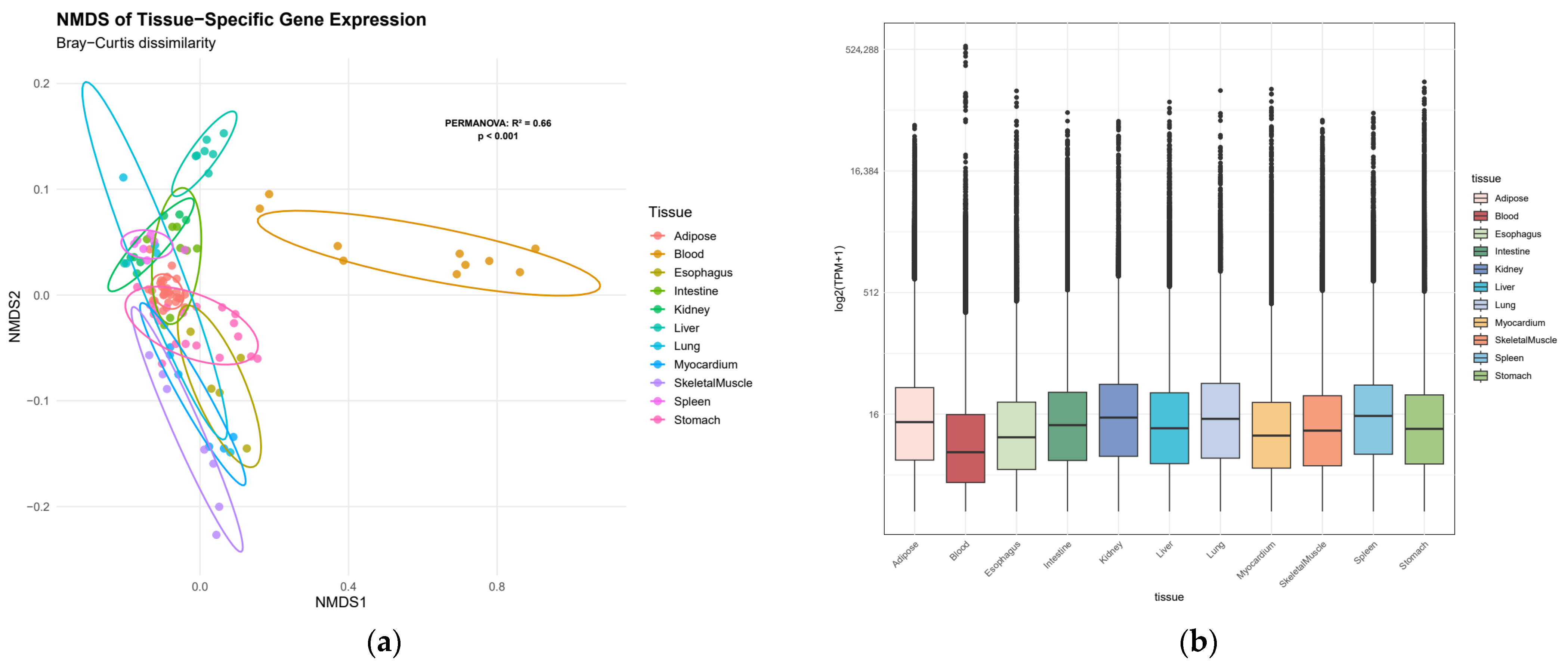 Animals 15 03173 g001