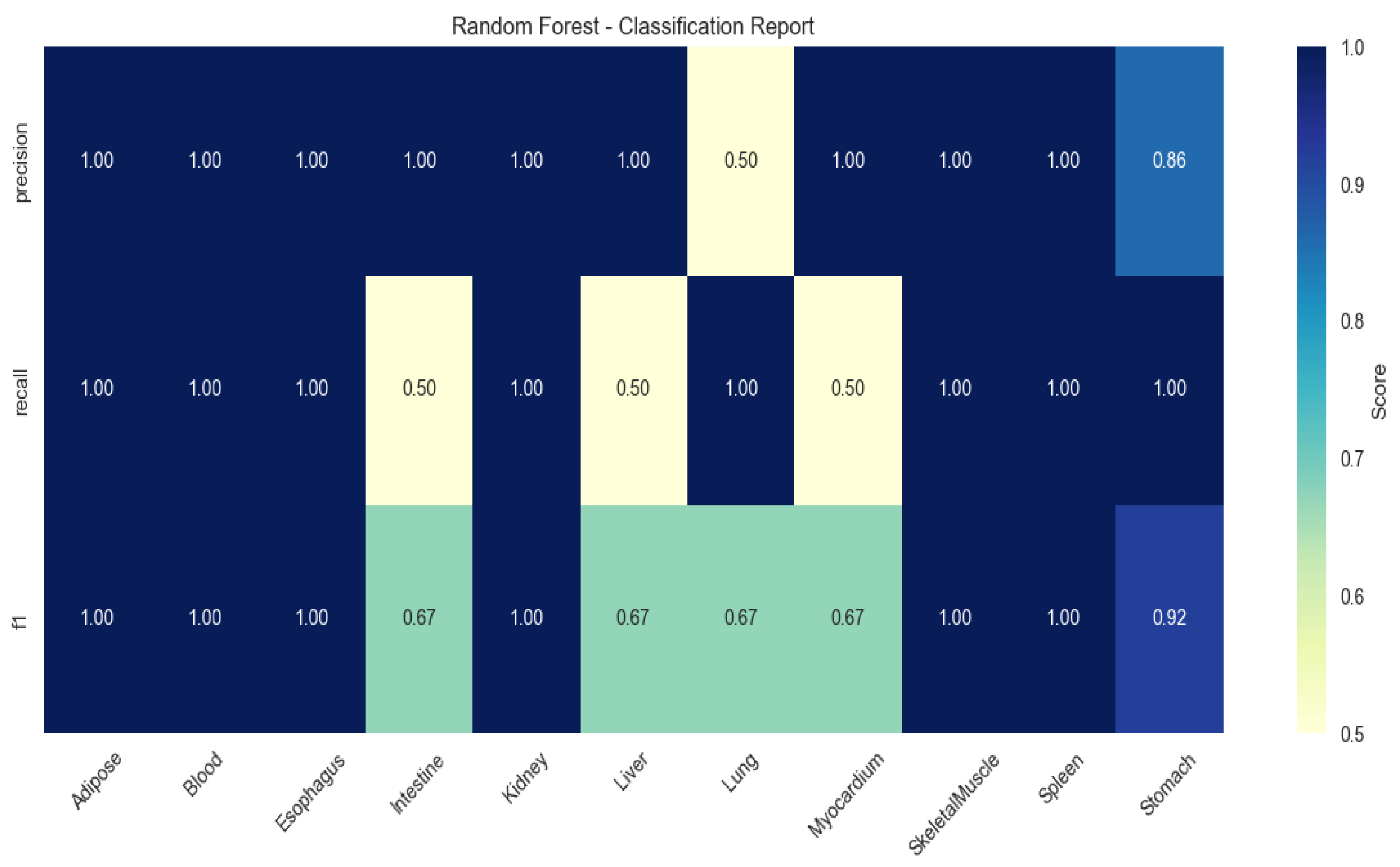 Animals 15 03173 g002