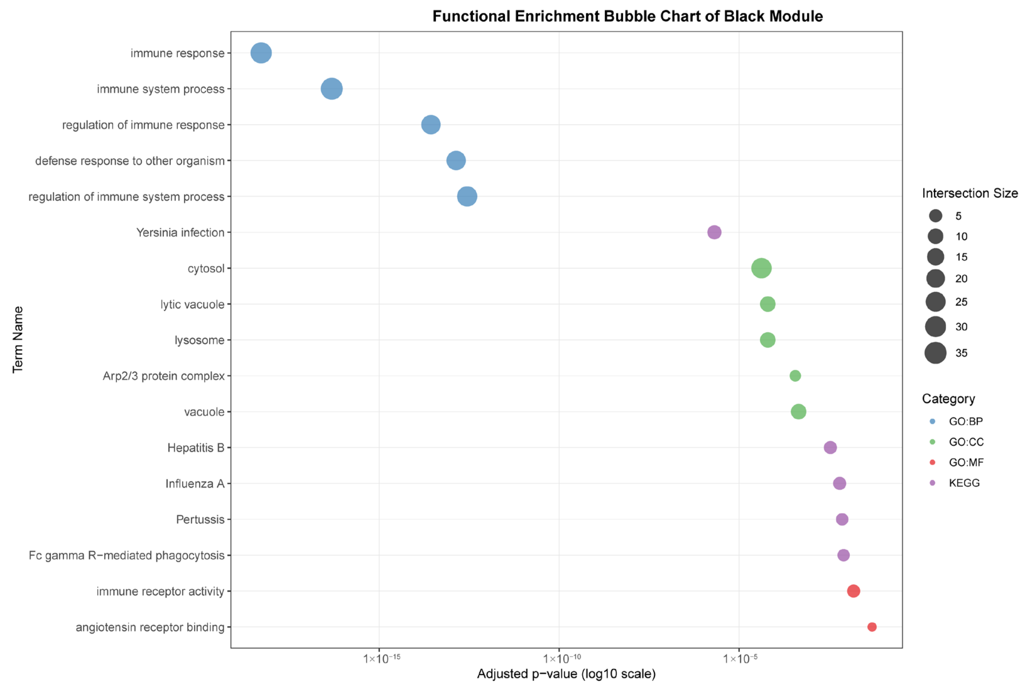 Animals 15 03173 g007a
