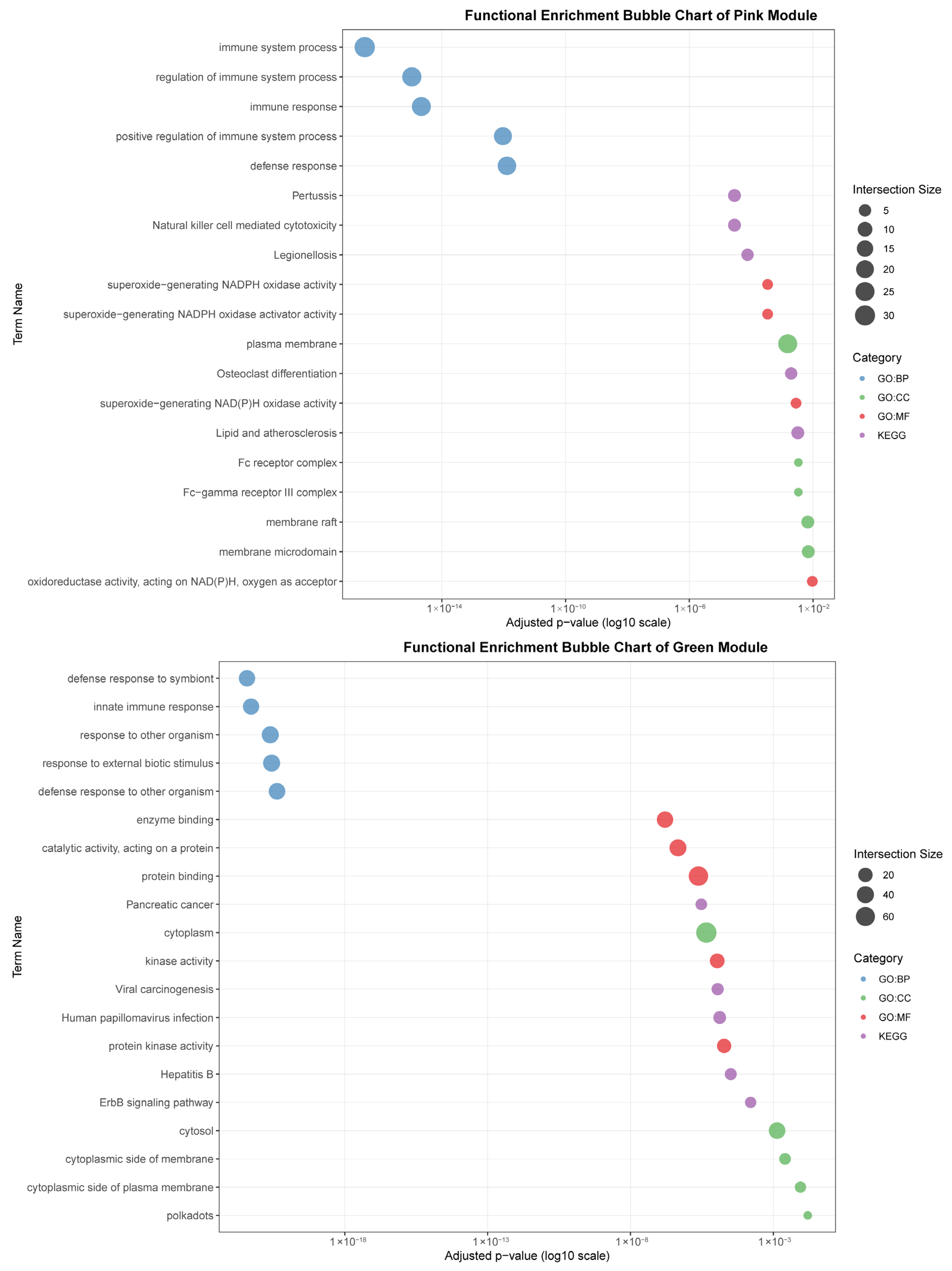 Animals 15 03173 g007b