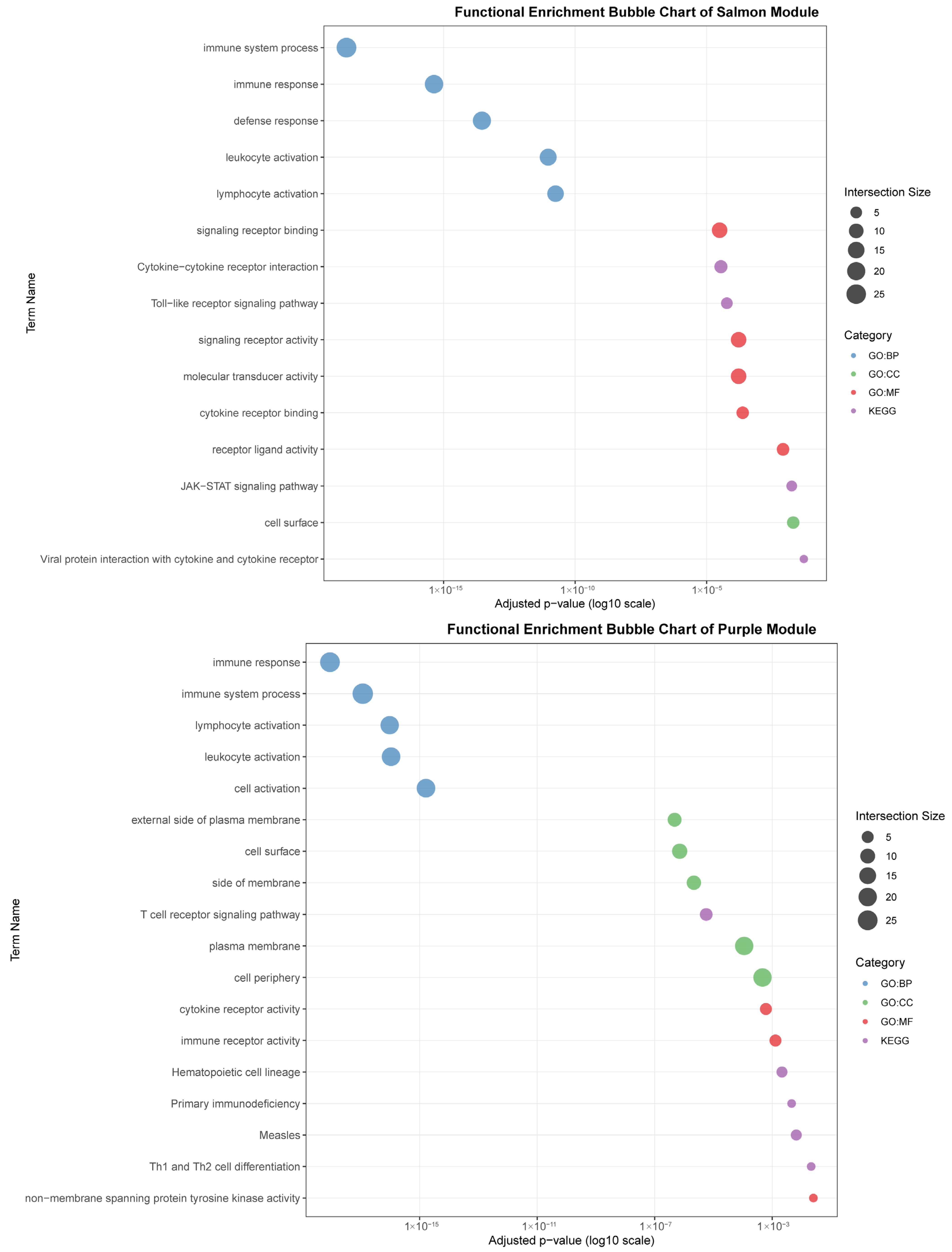 Animals 15 03173 g007c