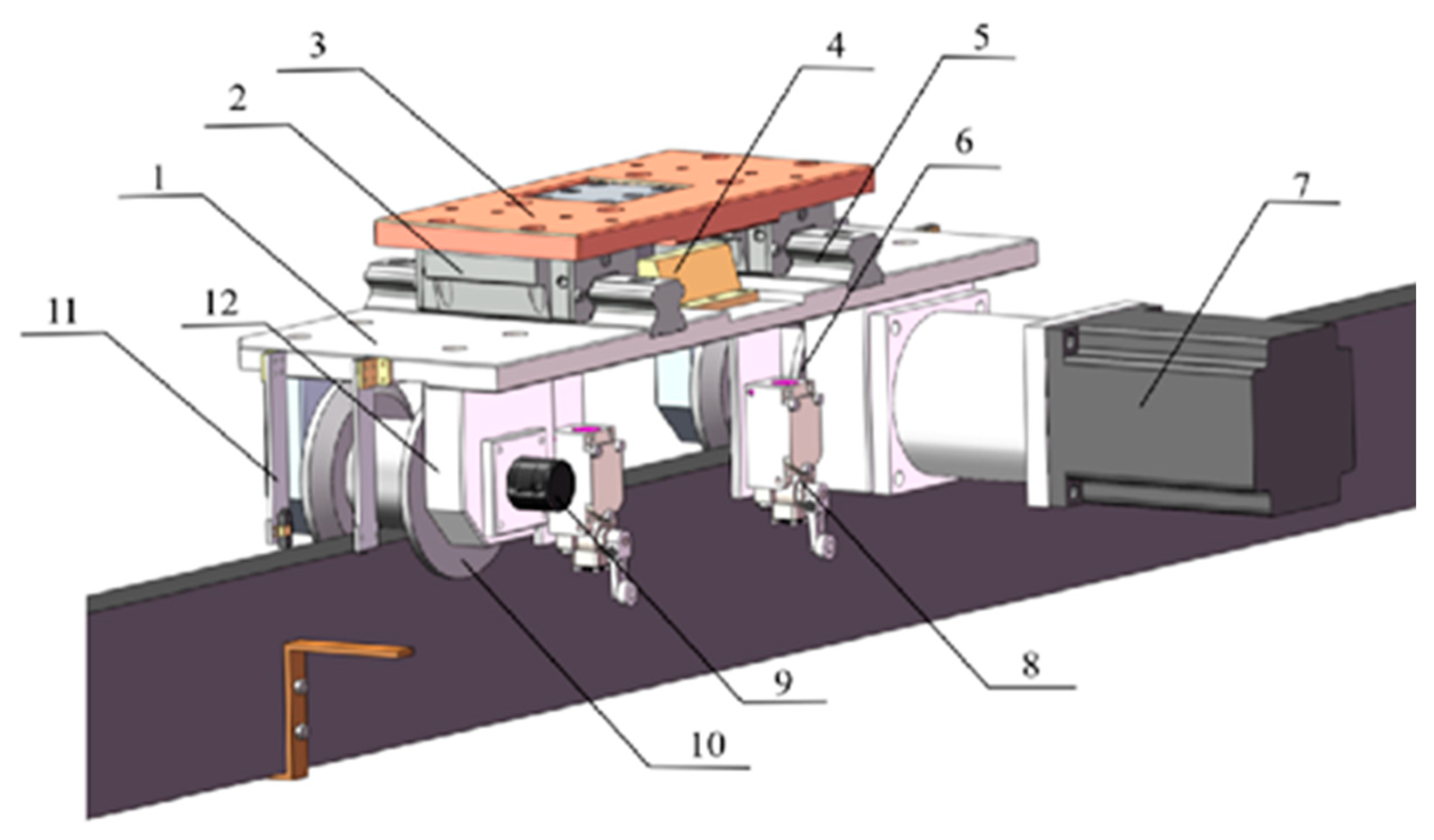 Animals 15 03177 g003