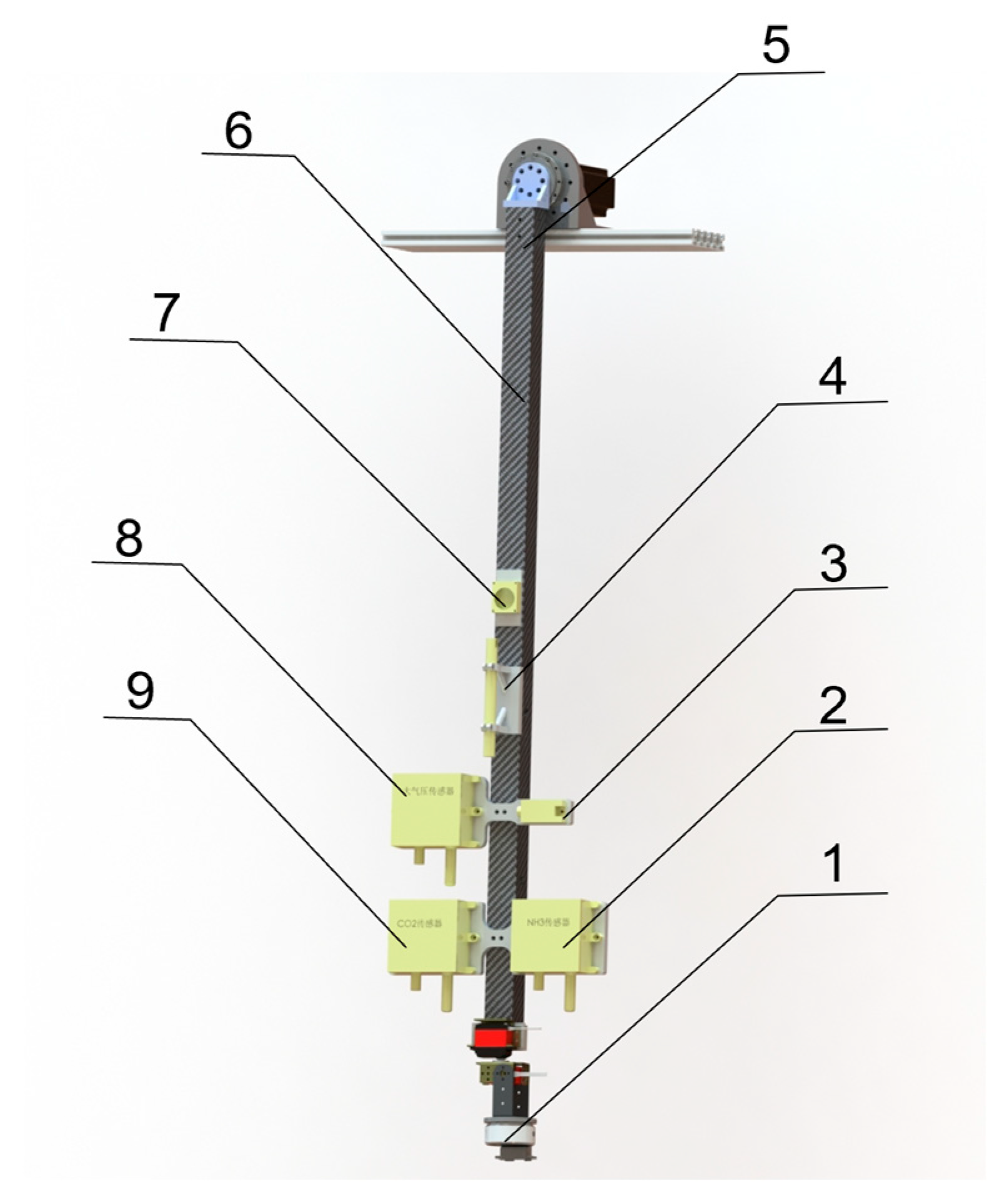 Animals 15 03177 g006