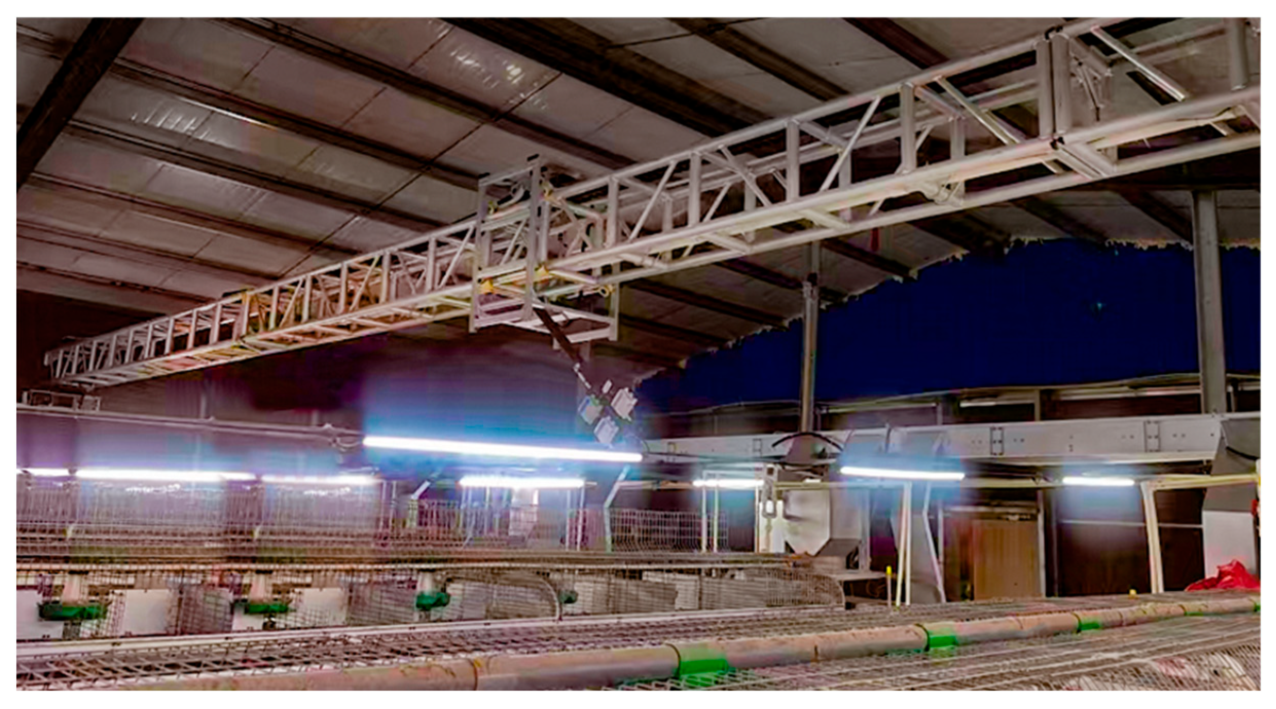 Animals 15 03177 g016