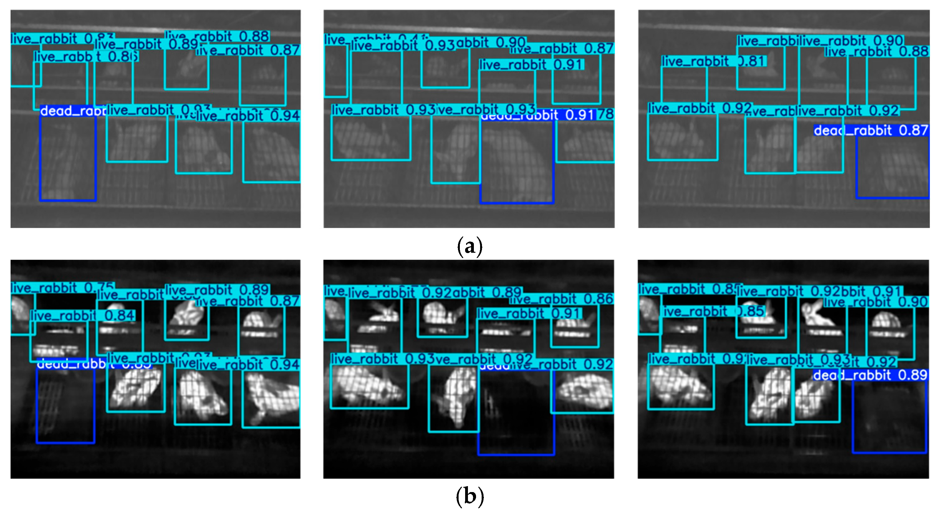 Animals 15 03177 g022a