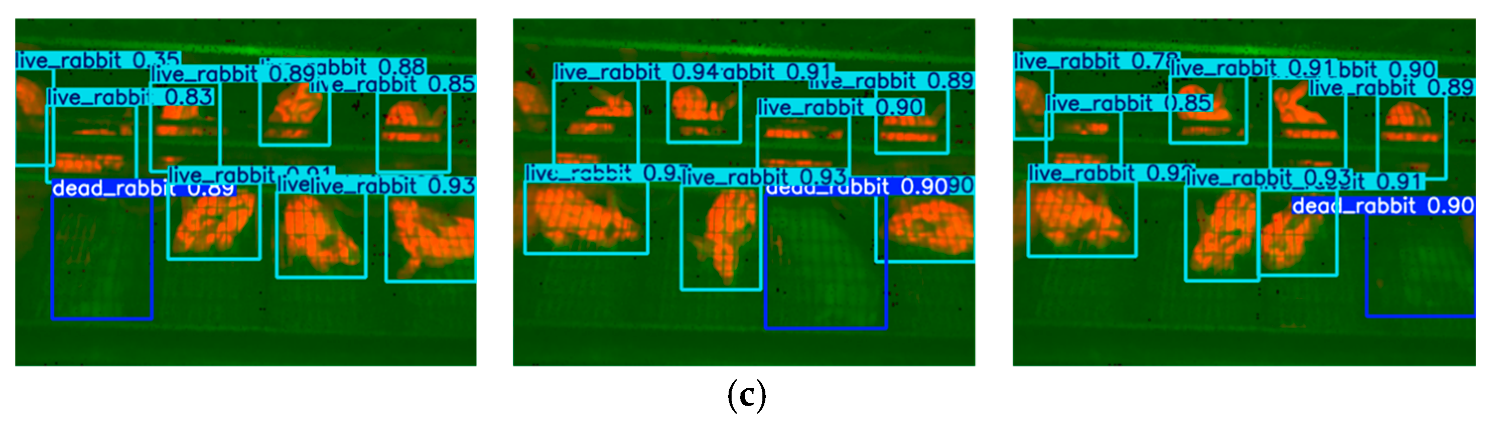 Animals 15 03177 g022b