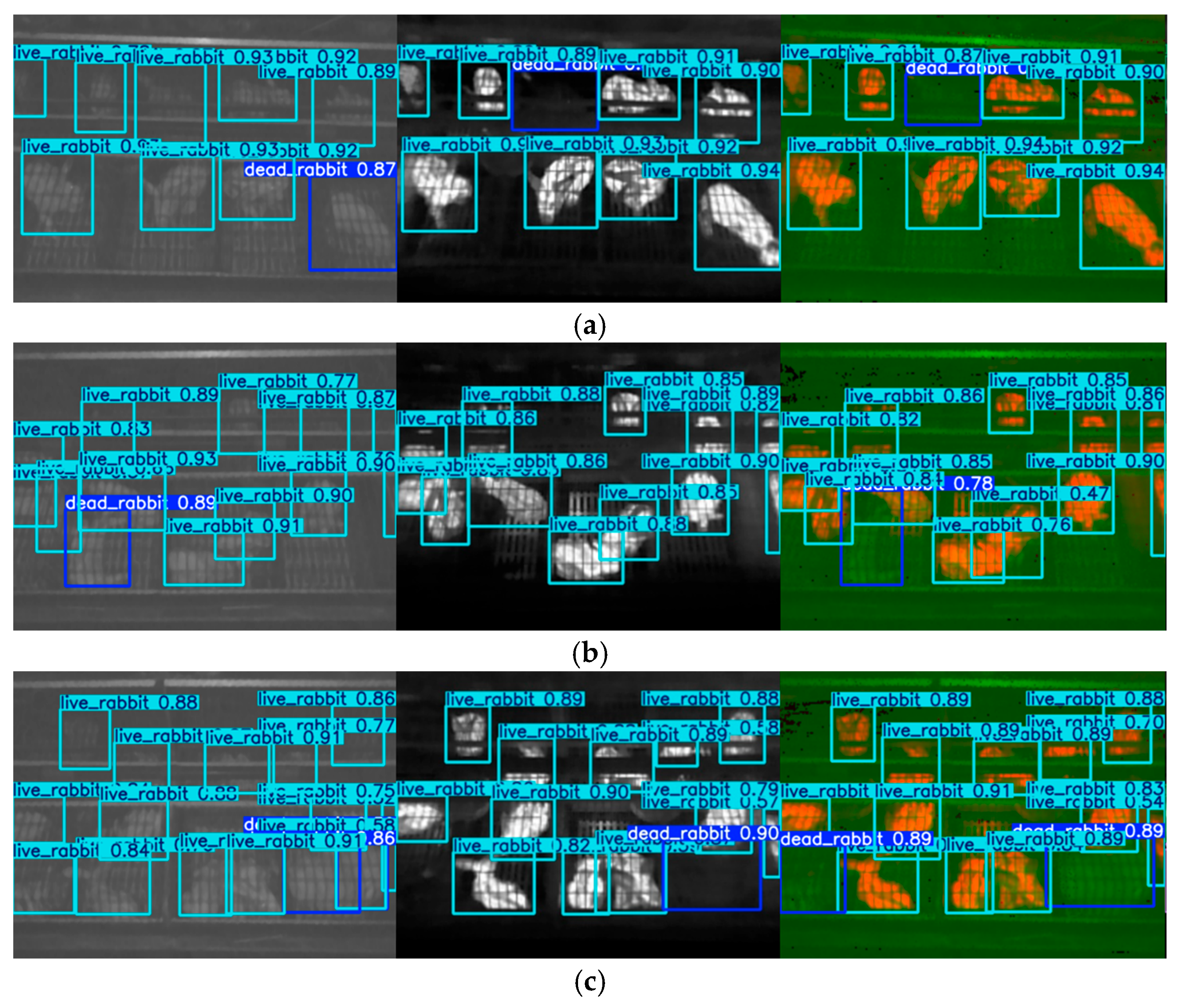 Animals 15 03177 g023