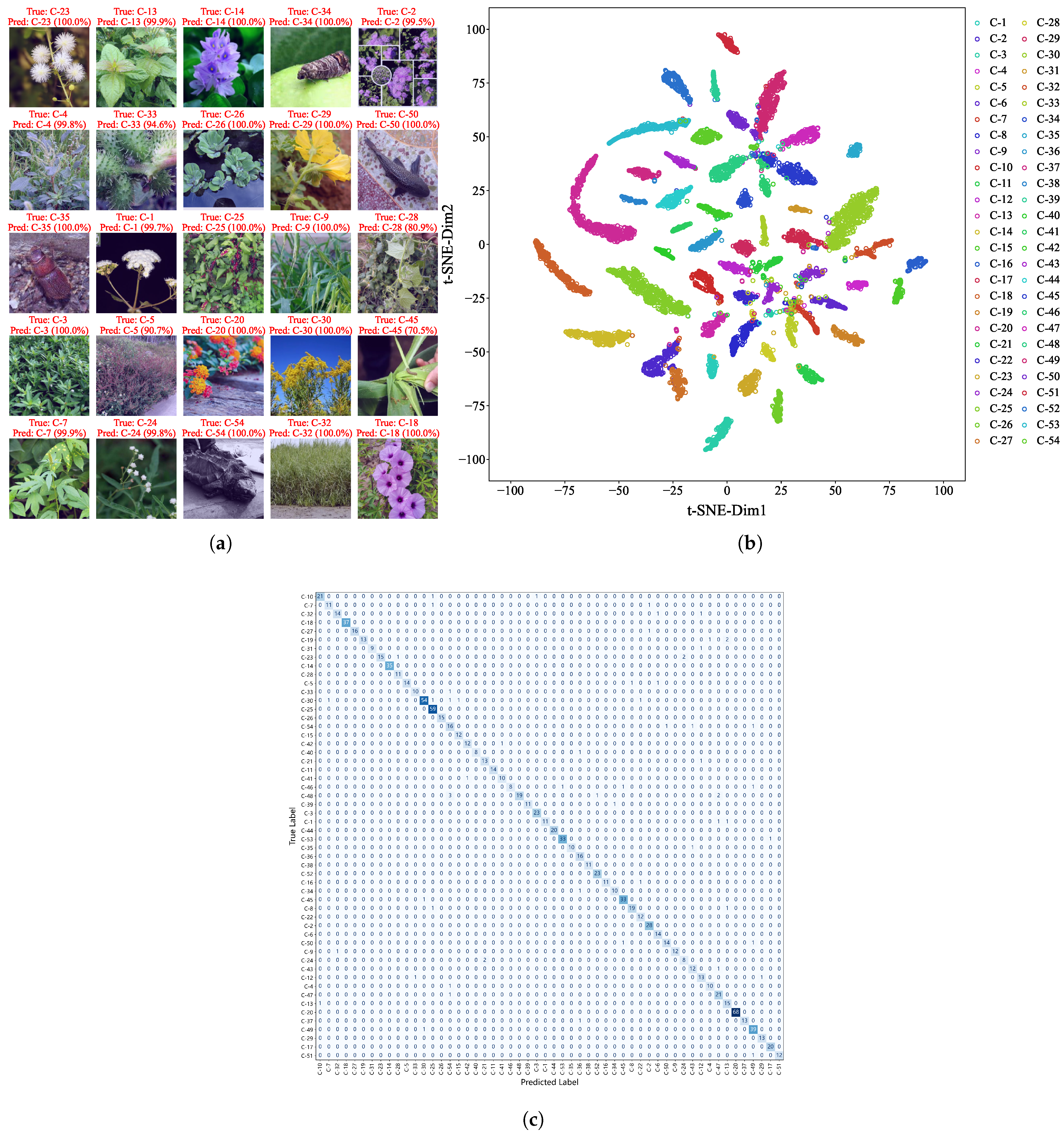 Animals 15 03181 g004