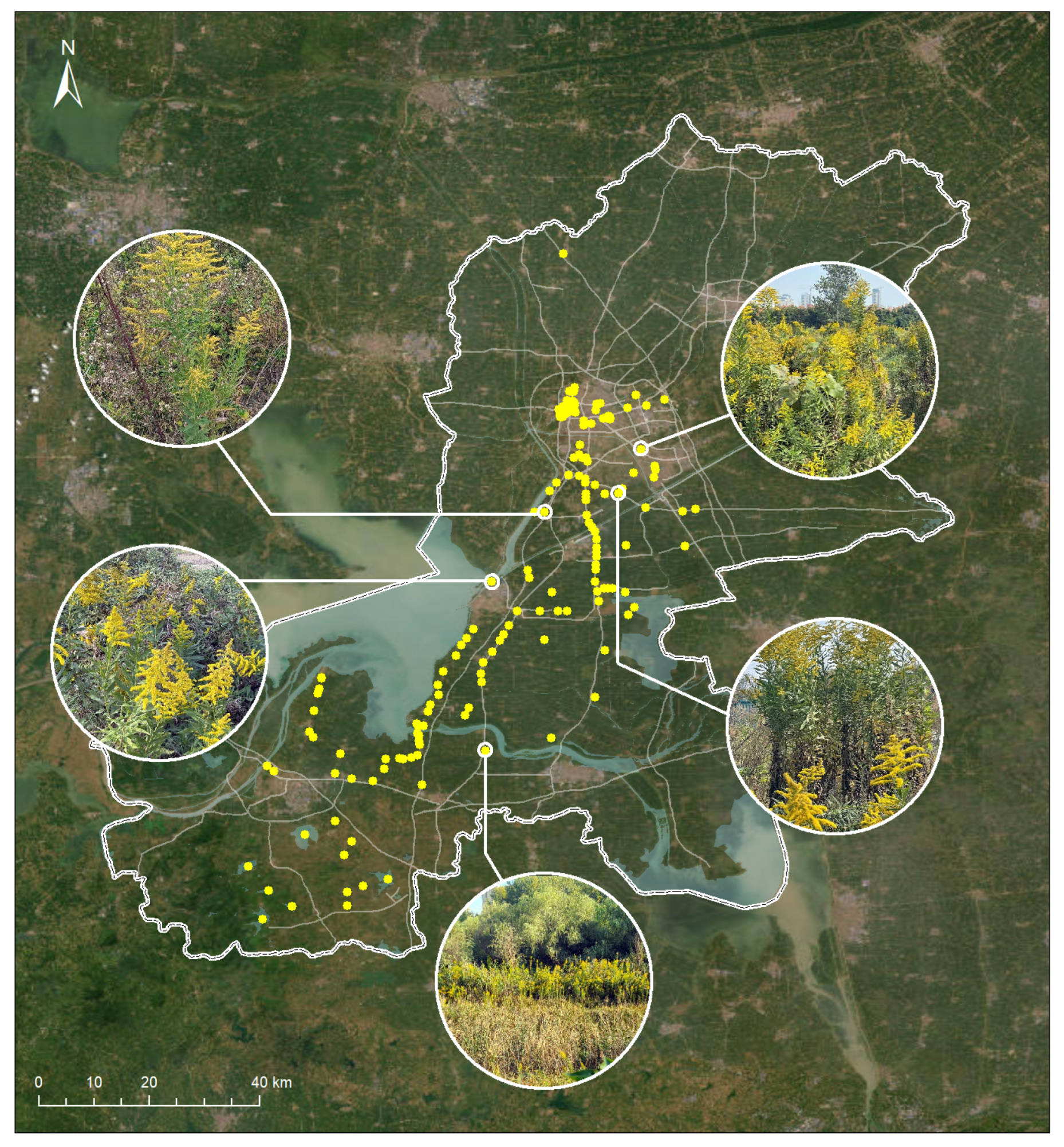 Animals 15 03181 g006