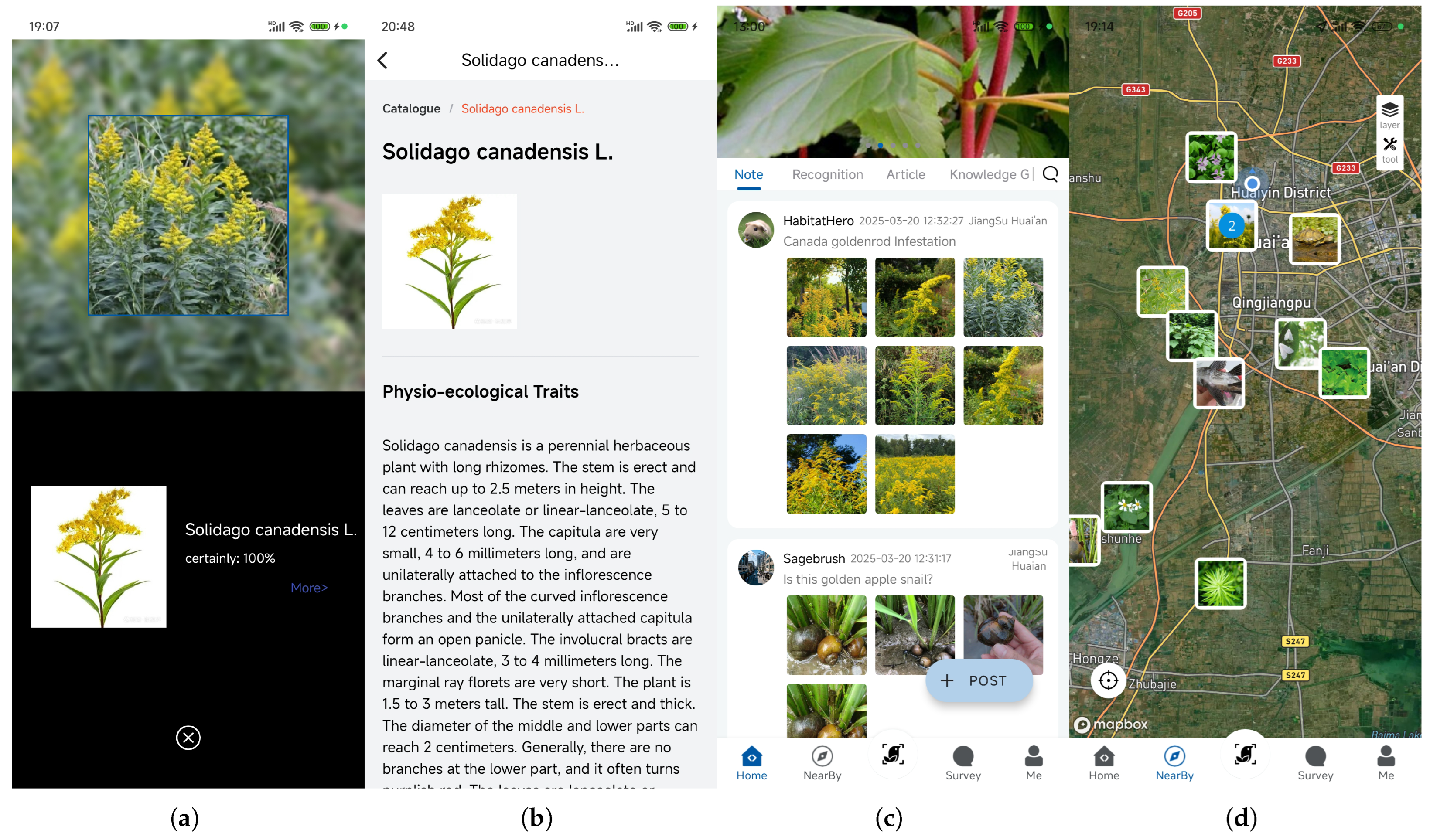 Animals 15 03181 g0a1