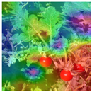 Animals 15 03181 i002