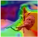 Animals 15 03181 i005