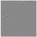 Animals 15 03181 i009