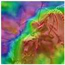 Animals 15 03181 i011