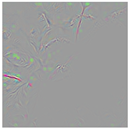 Animals 15 03181 i012