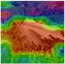 Animals 15 03181 i014