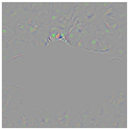 Animals 15 03181 i015