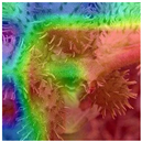 Animals 15 03181 i020