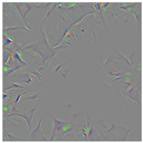 Animals 15 03181 i024