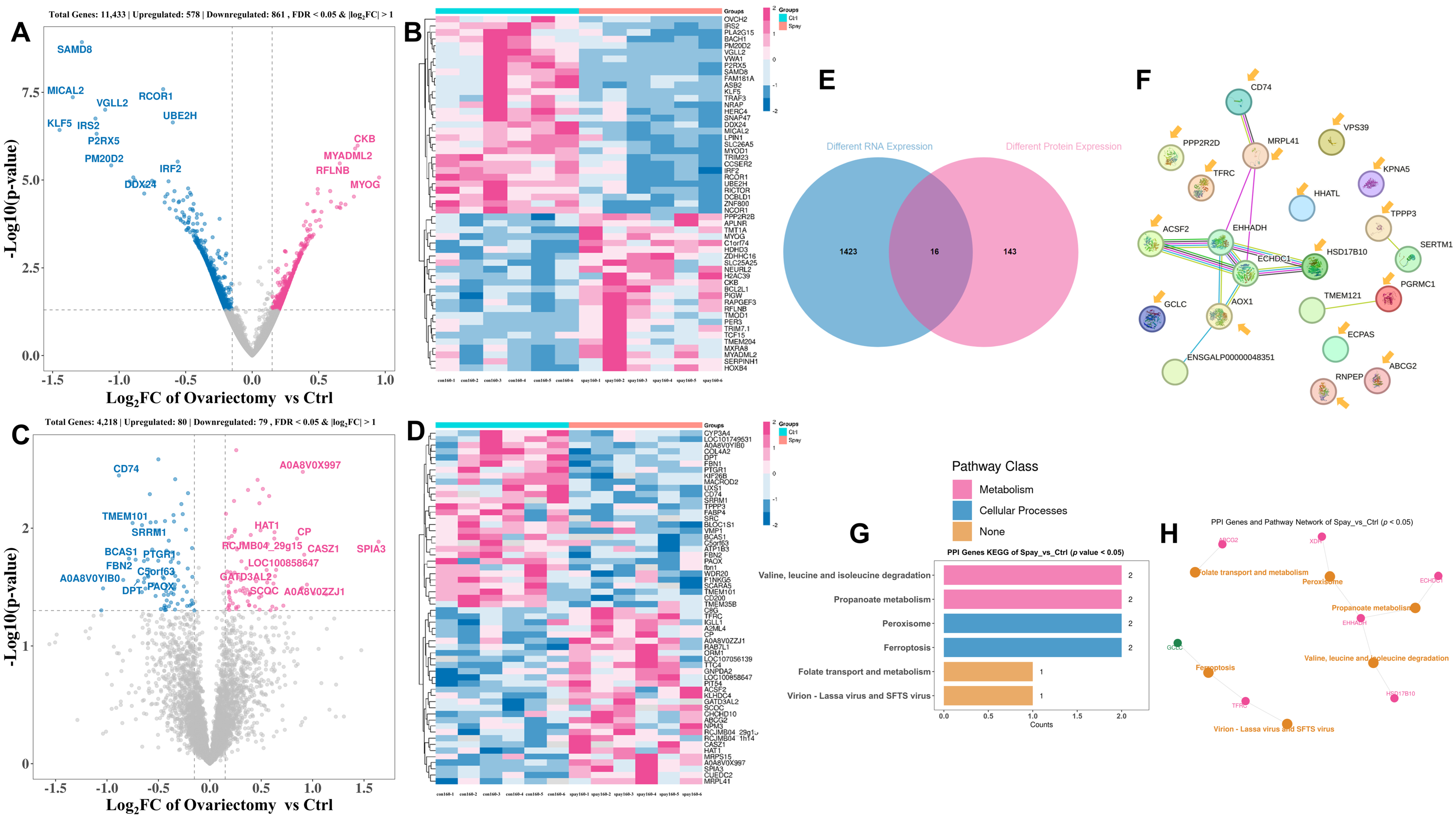 Animals 15 03183 g005