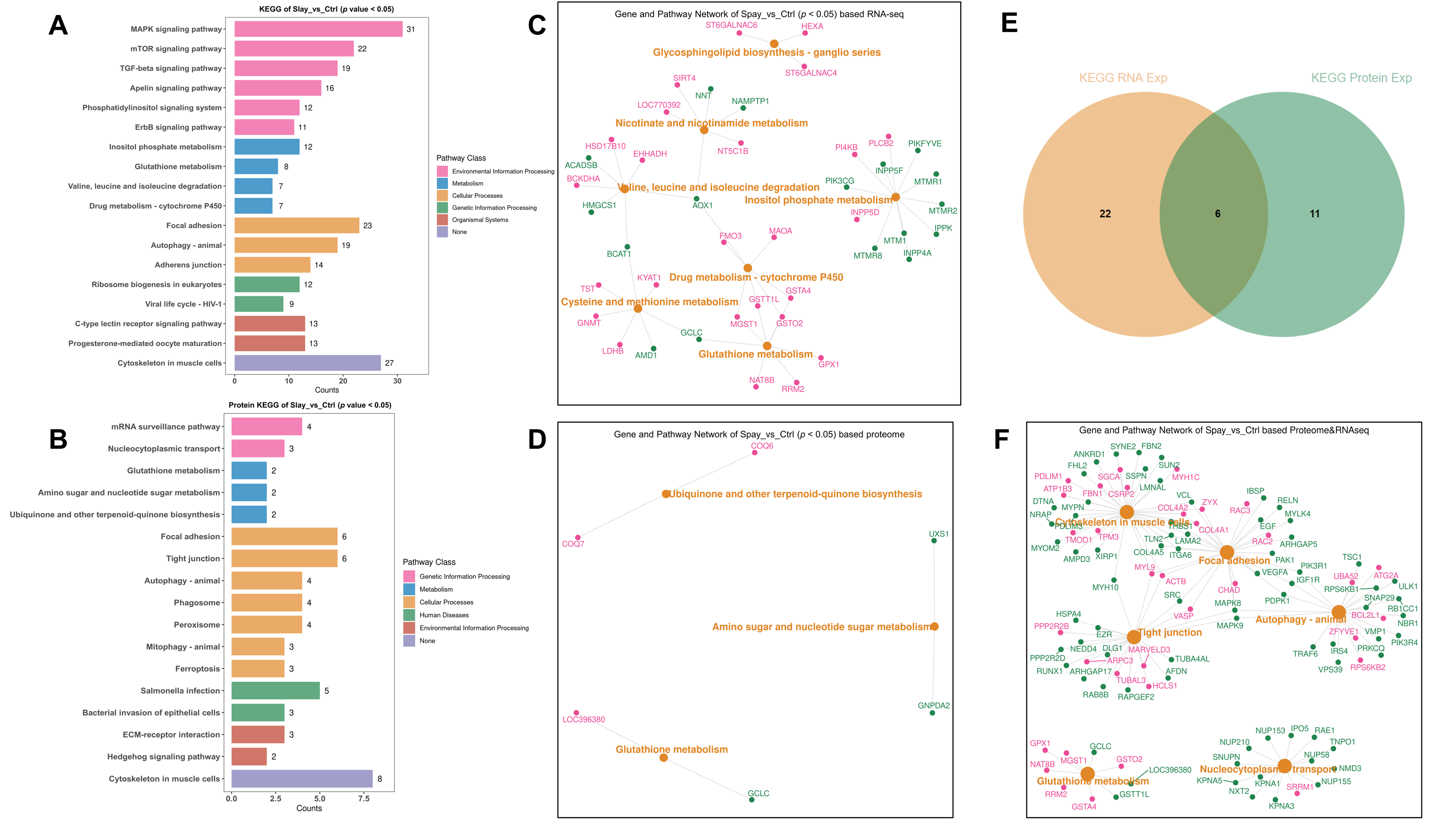 Animals 15 03183 g006