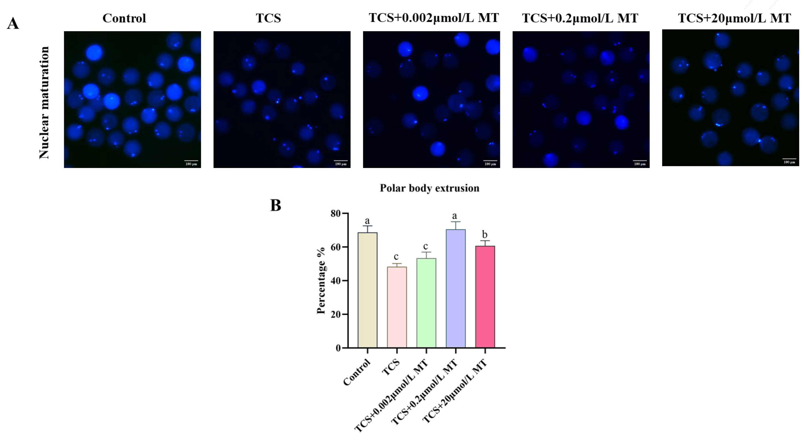 Animals 15 03193 g001