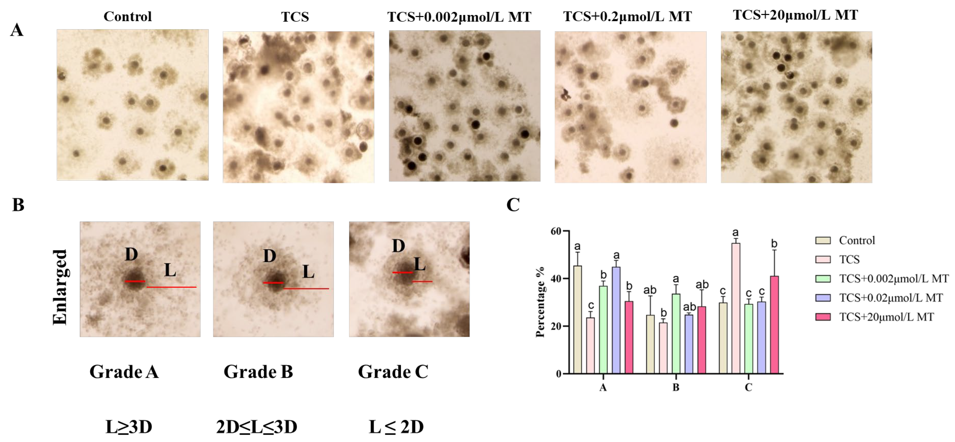 Animals 15 03193 g002