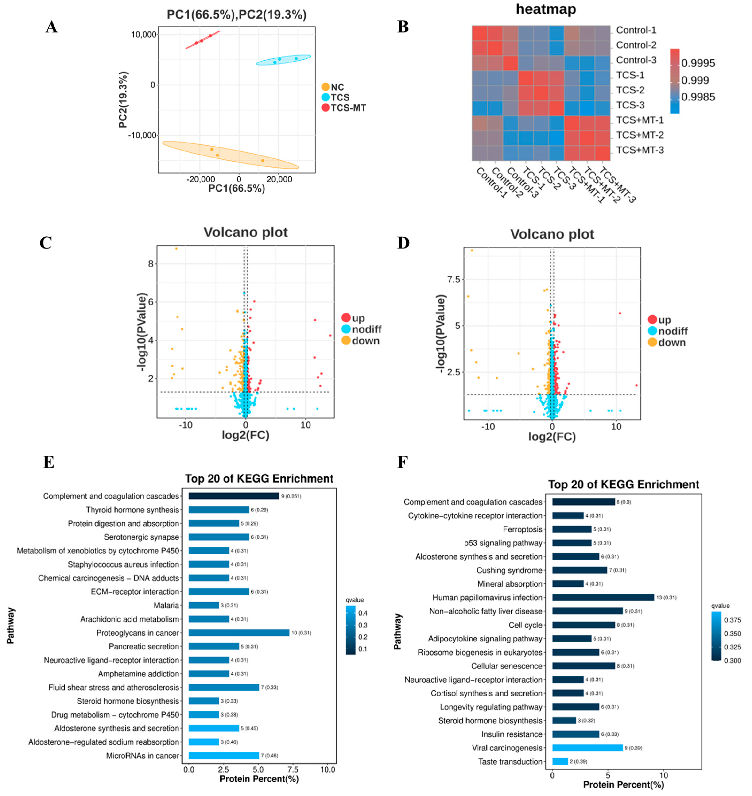 Animals 15 03193 g004