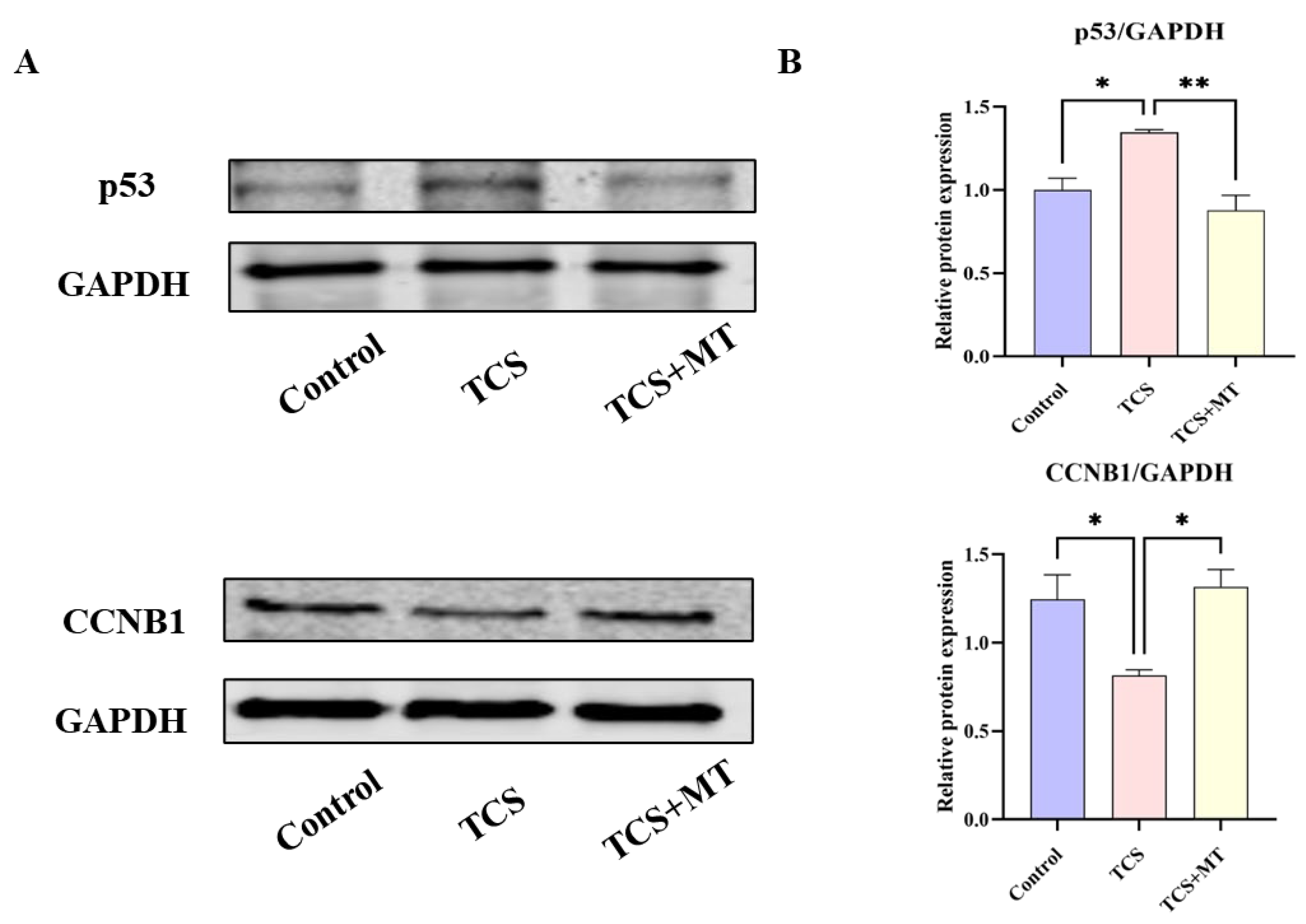 Animals 15 03193 g005