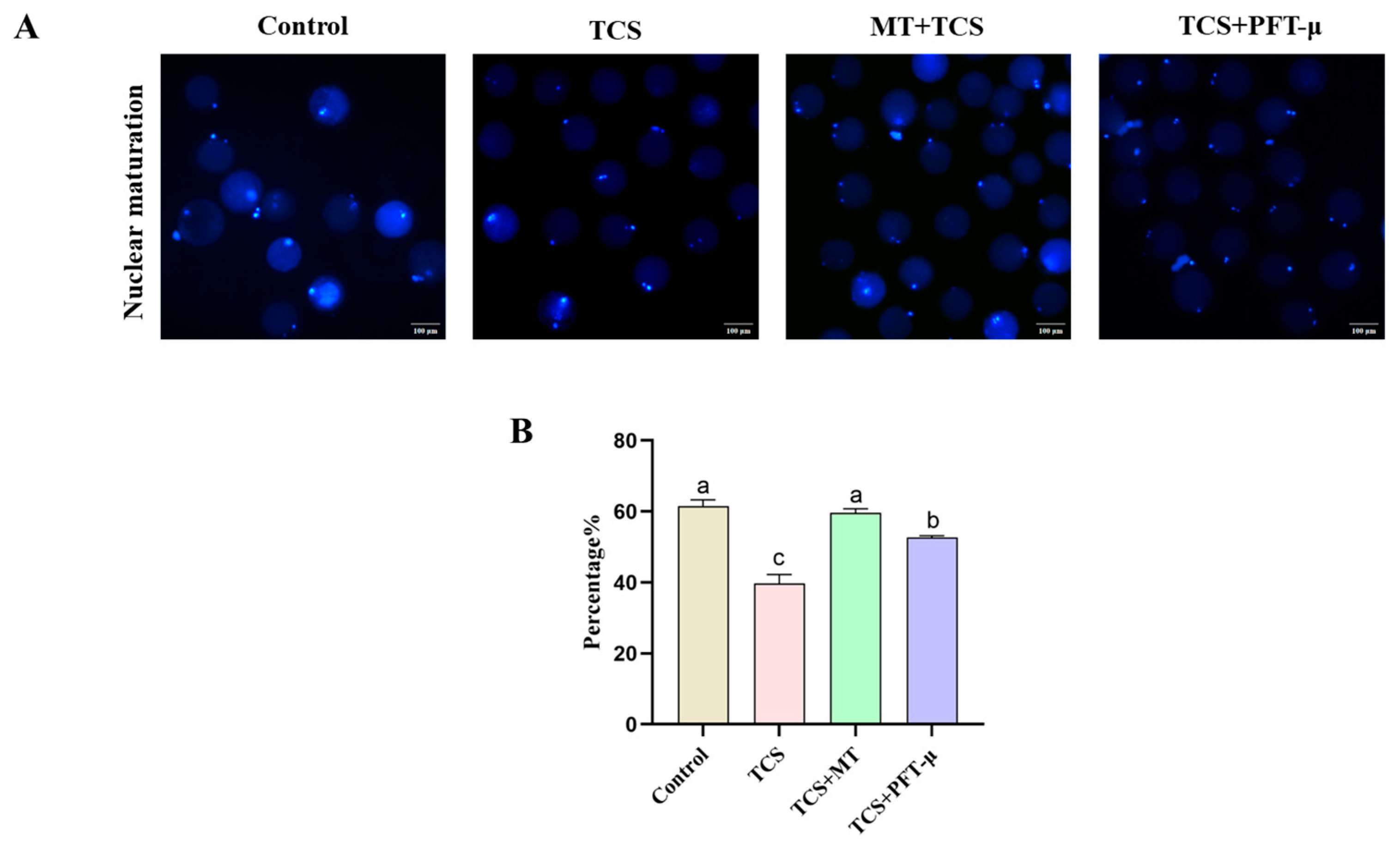 Animals 15 03193 g007