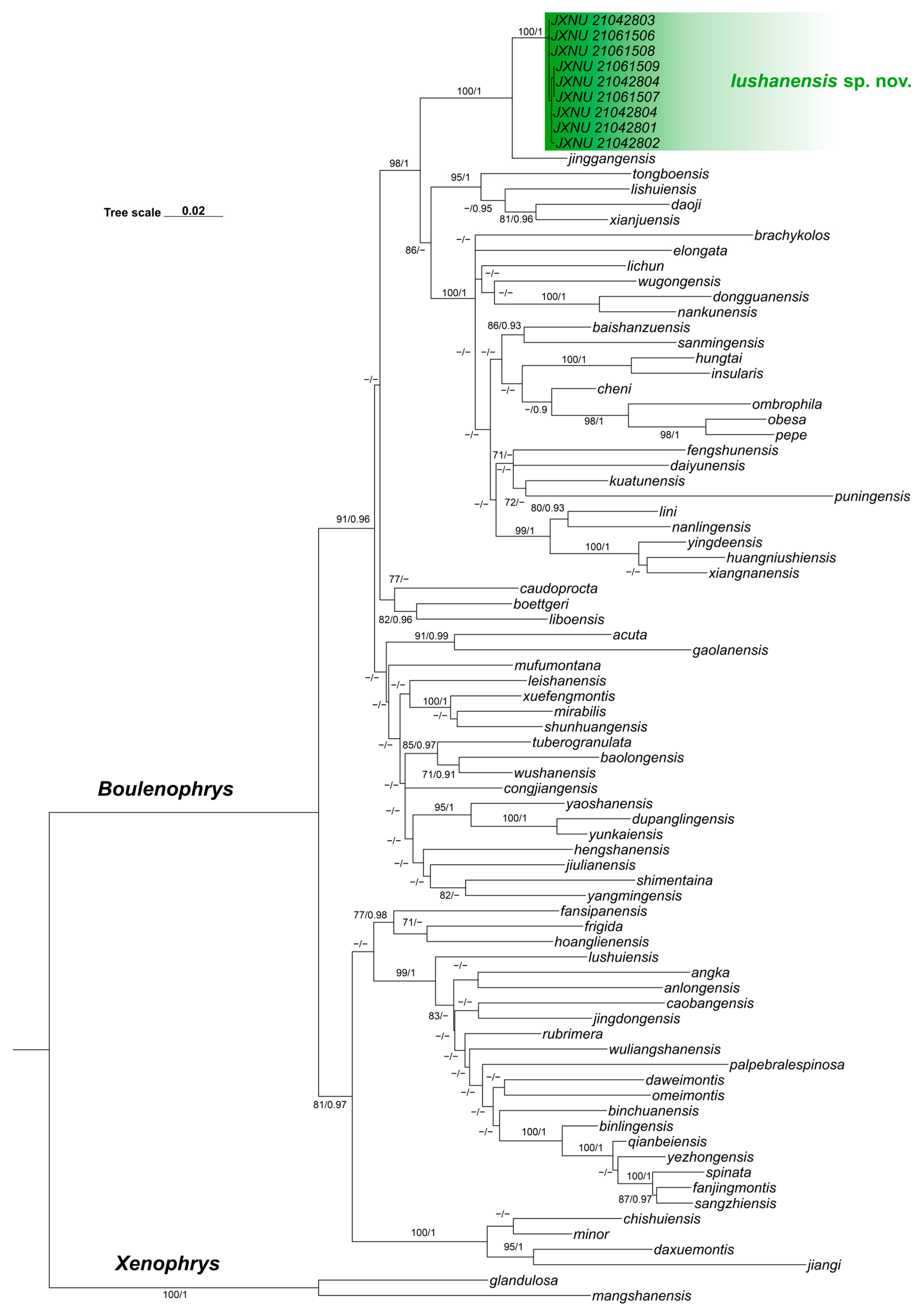 Animals 15 03197 g002