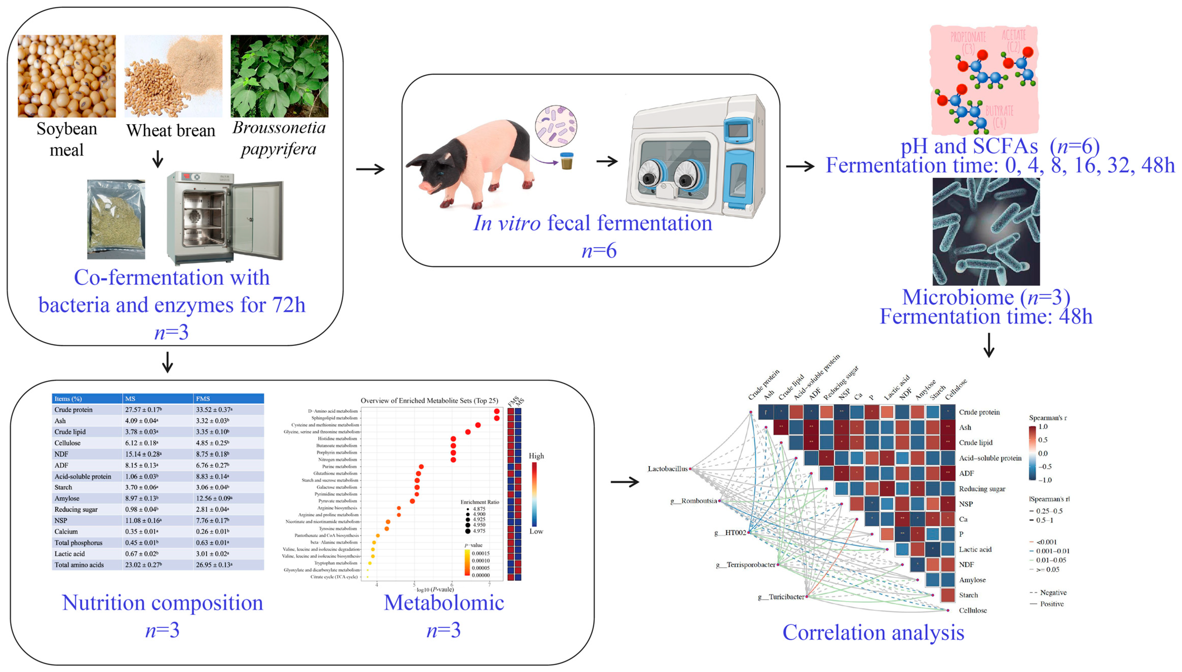Animals 15 03199 g001
