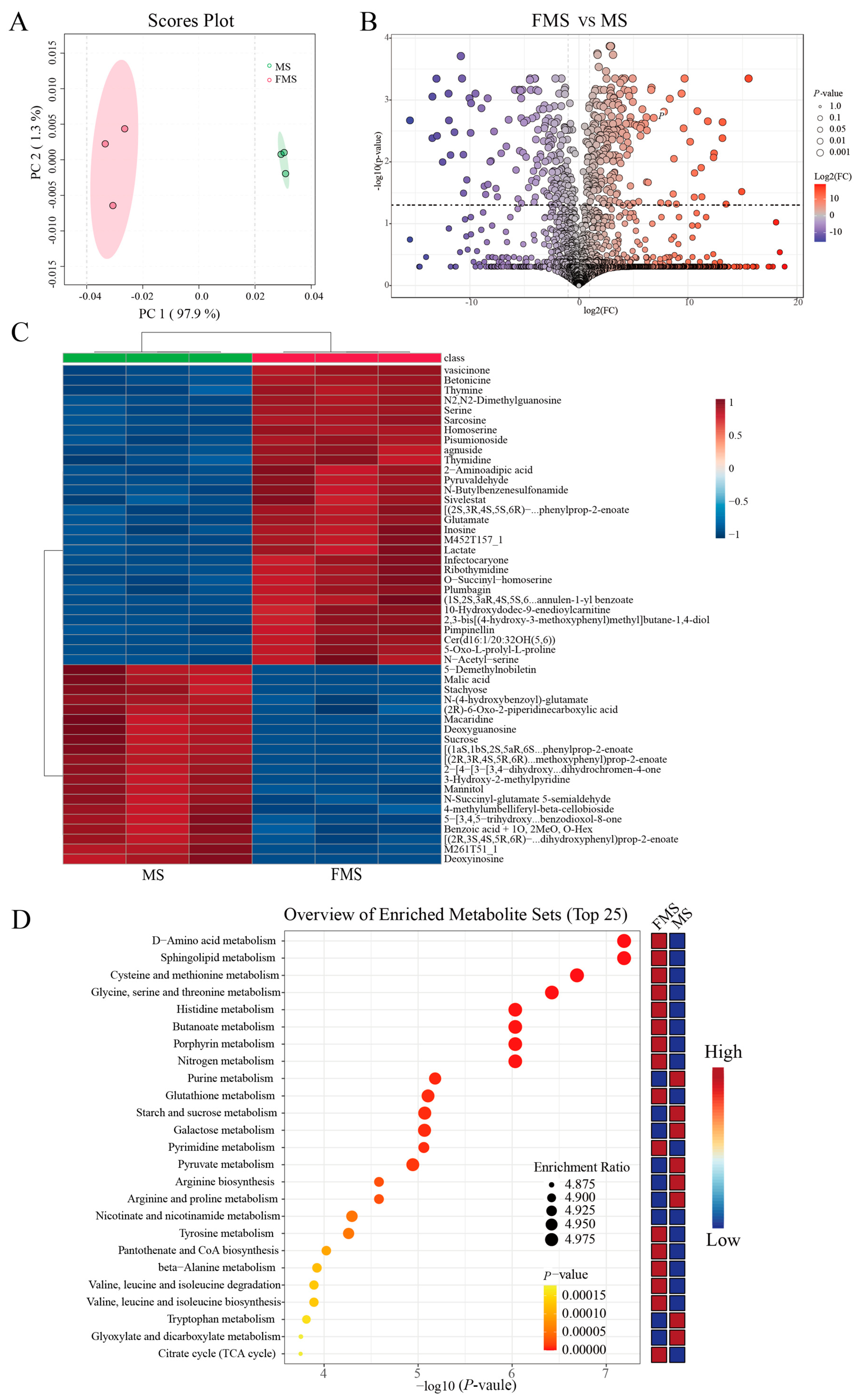 Animals 15 03199 g002