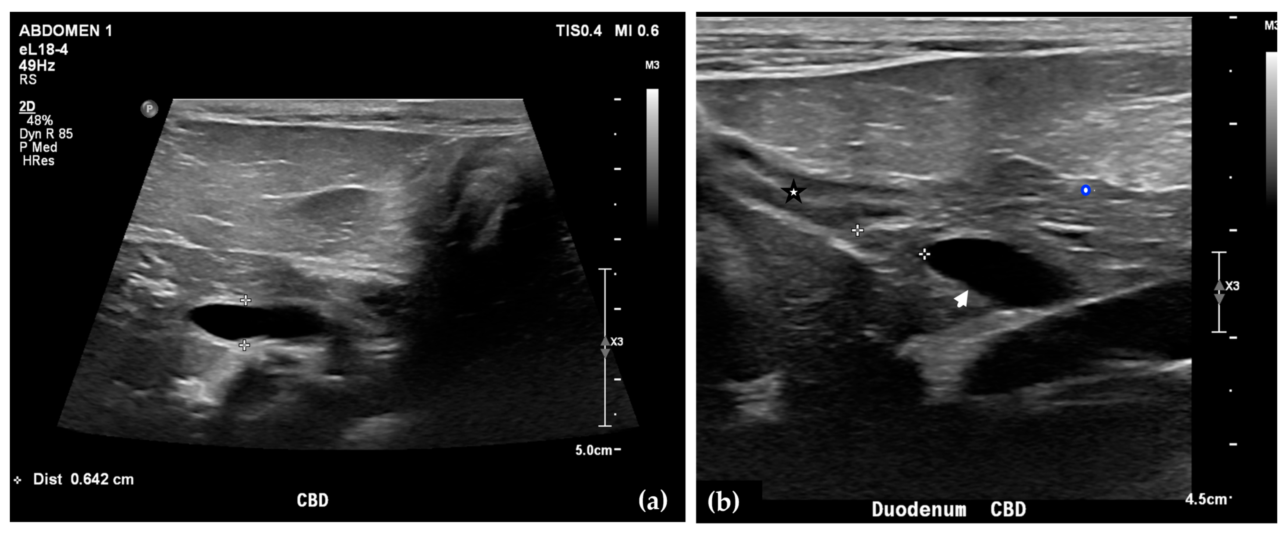 Animals 15 03213 g001 Animals 15 03213 g001