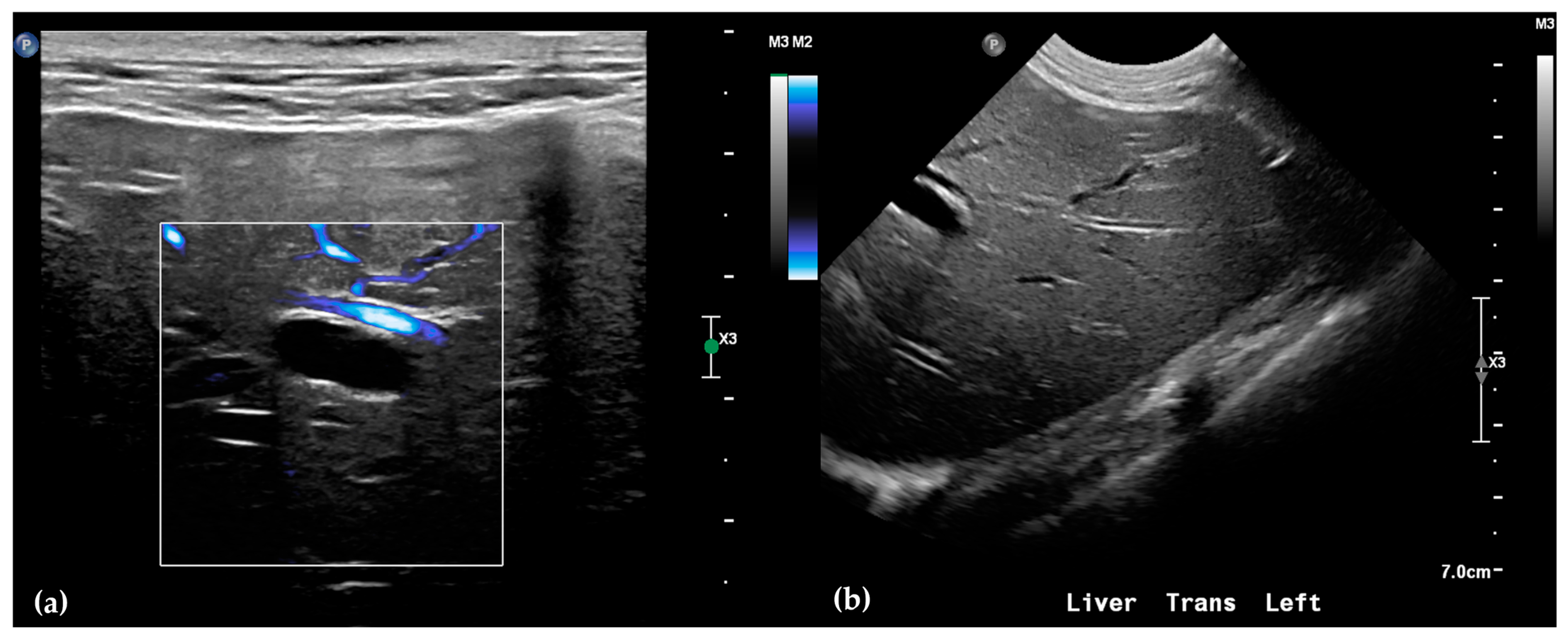 Animals 15 03213 g002 Animals 15 03213 g002