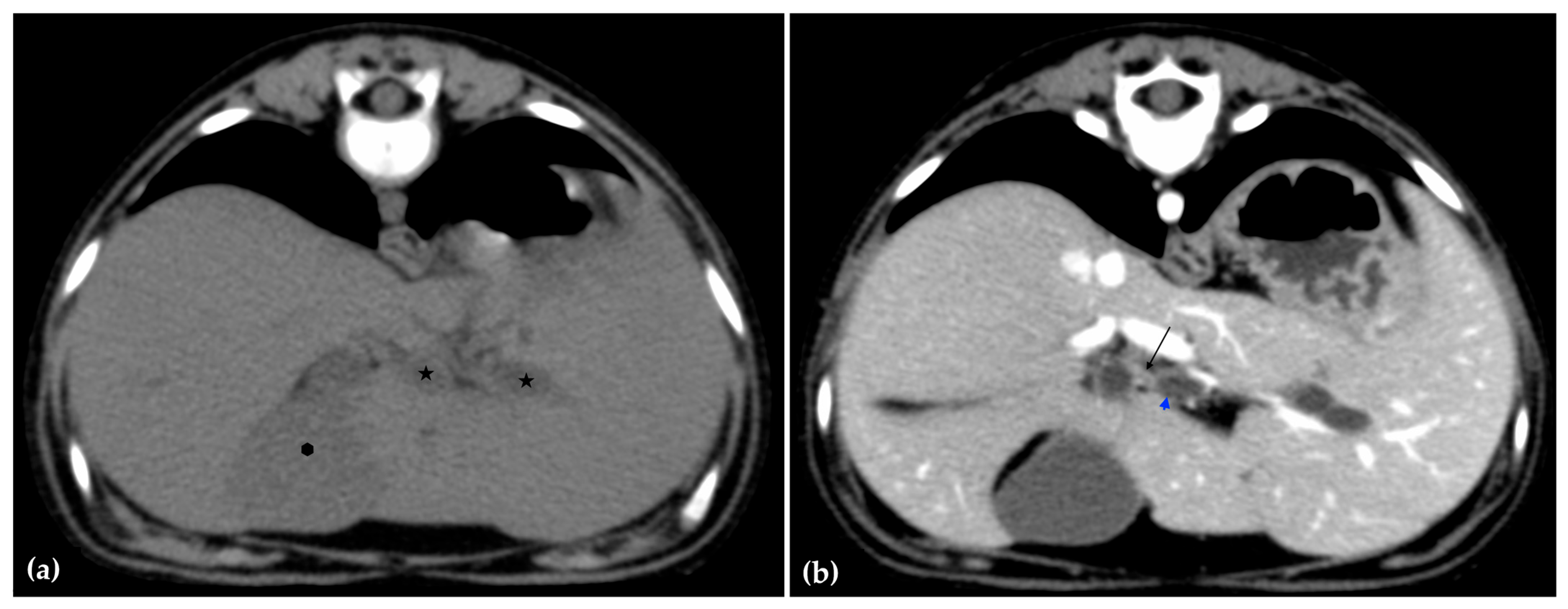 Animals 15 03213 g003 Animals 15 03213 g003