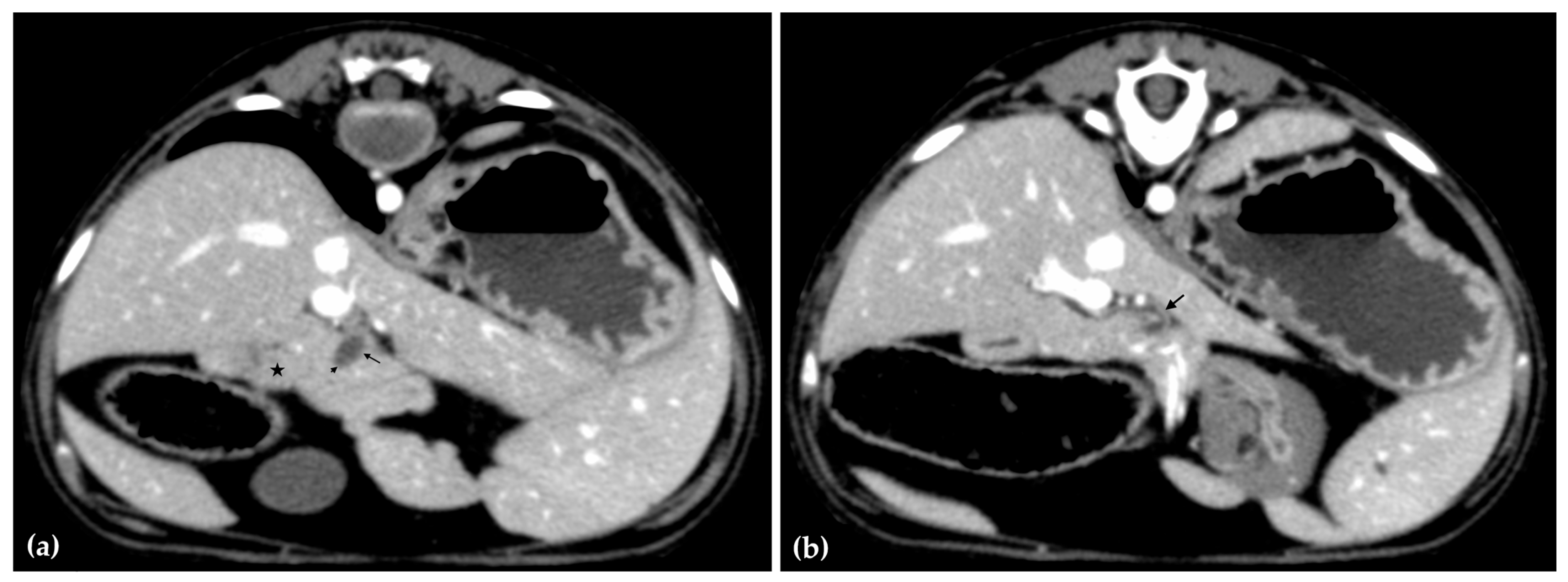 Animals 15 03213 g004 Animals 15 03213 g004