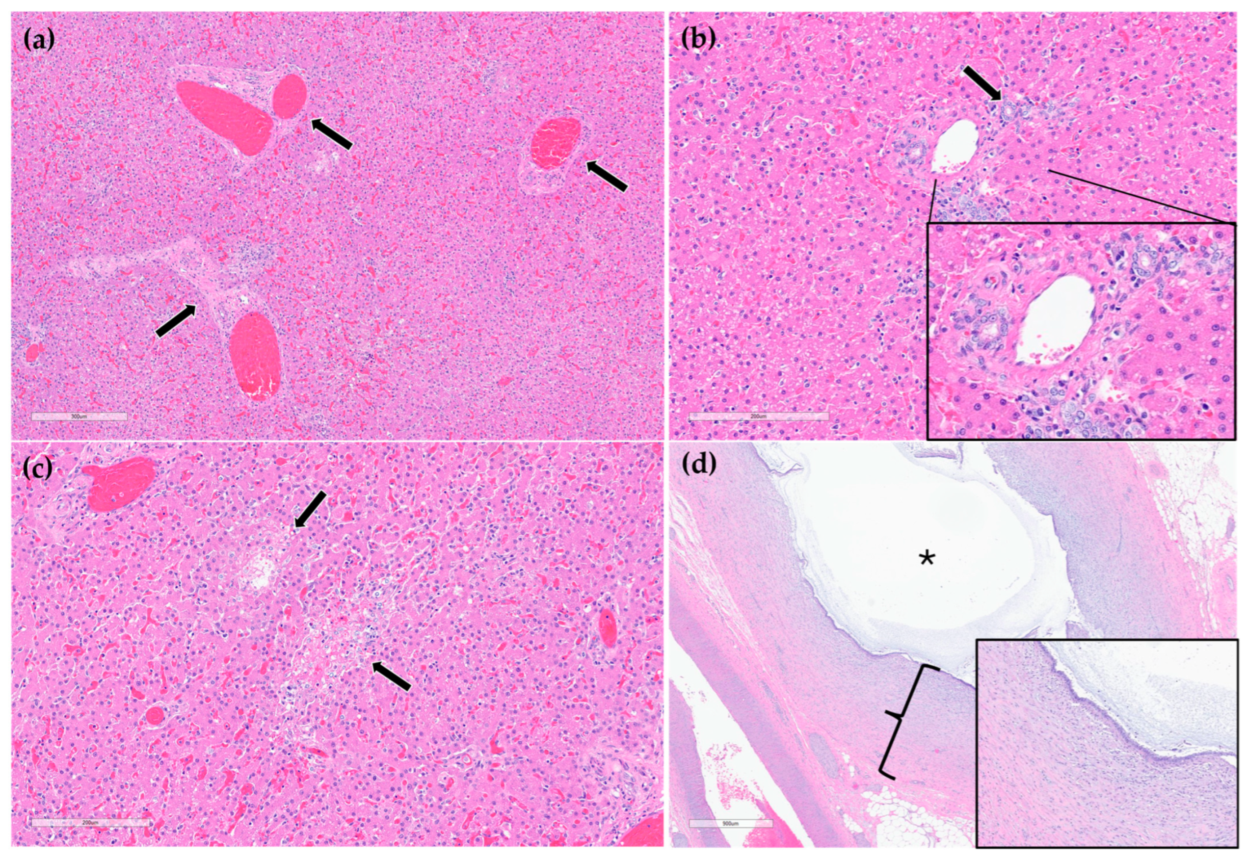 Animals 15 03213 g006 Animals 15 03213 g006