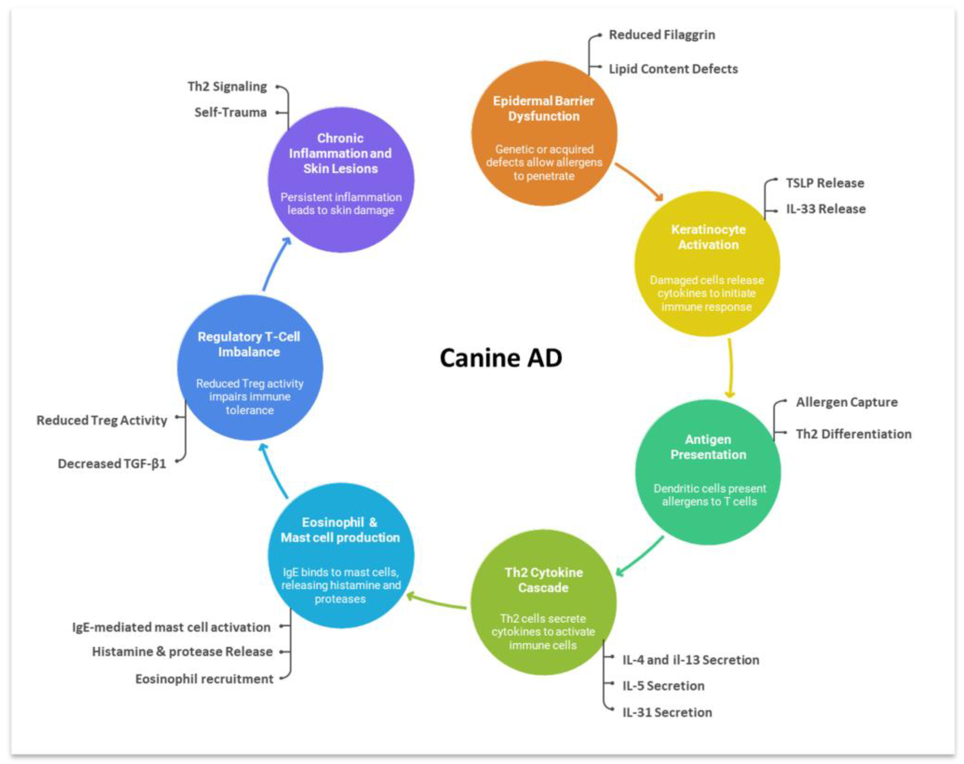 Animals 15 03219 g001