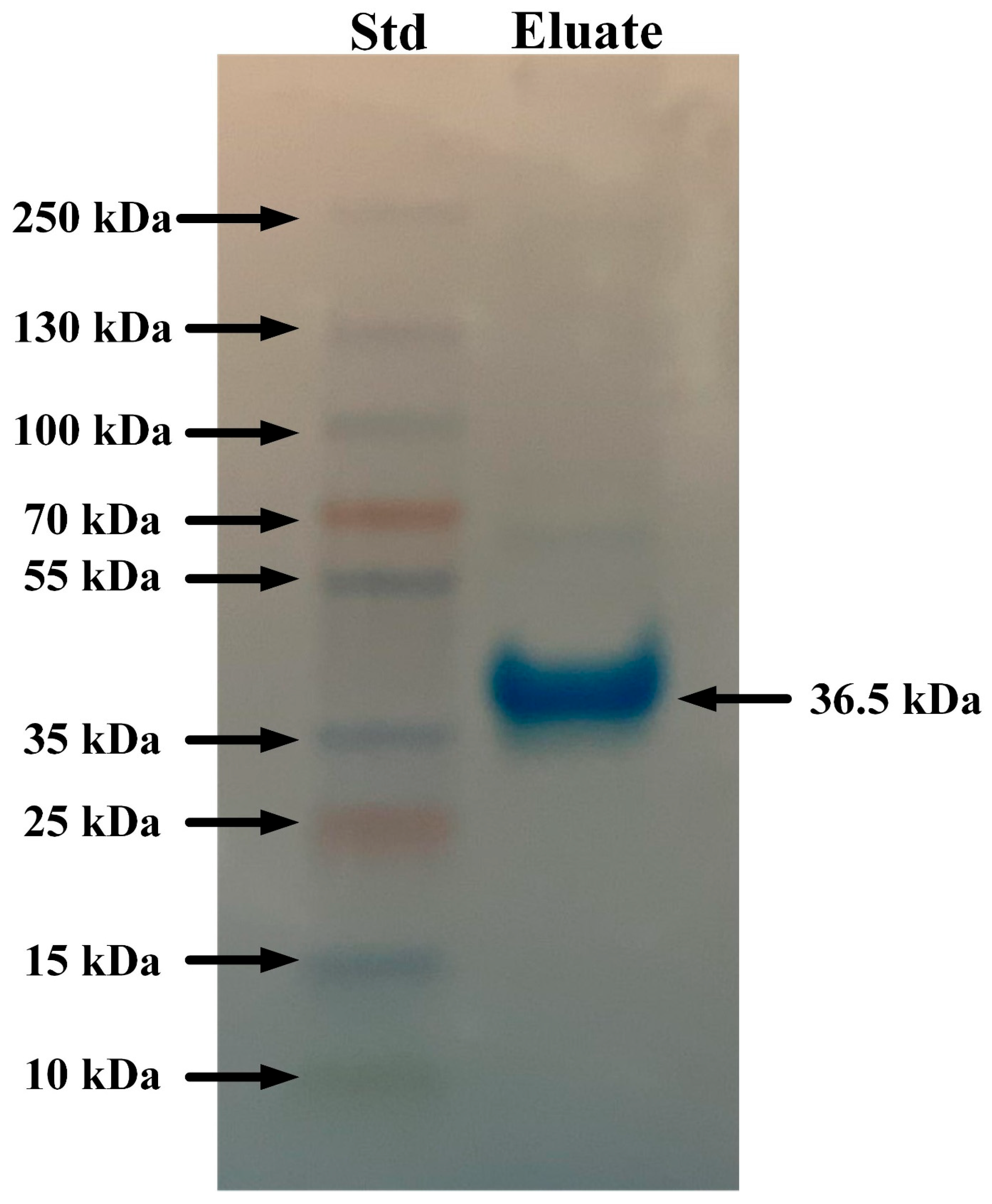 Animals 15 03223 g006