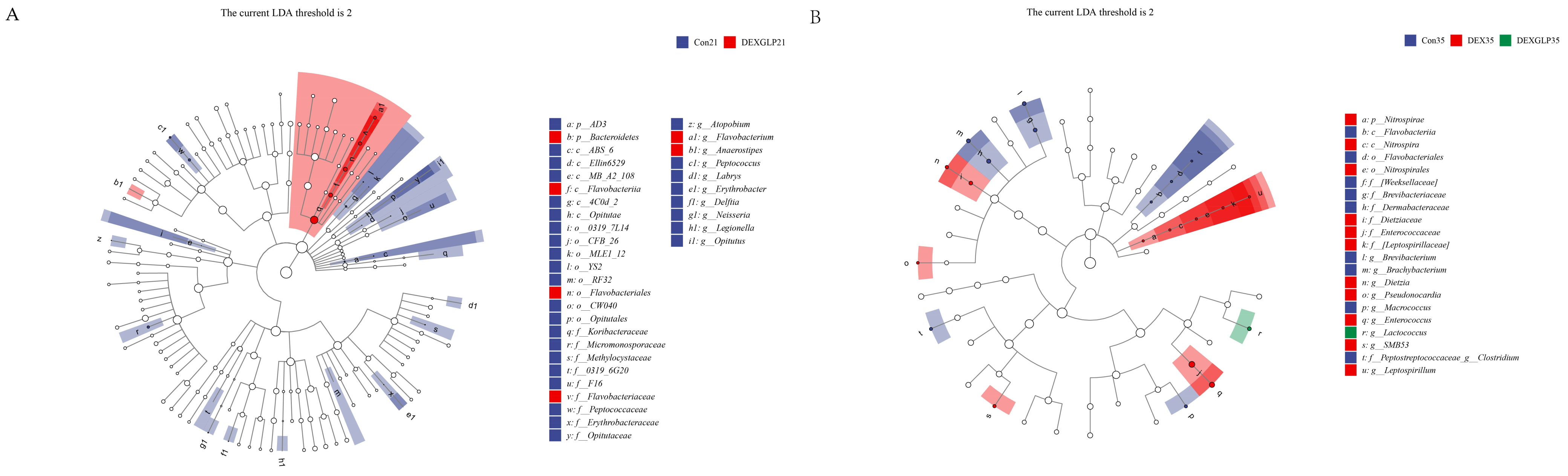 Animals 15 03226 g006