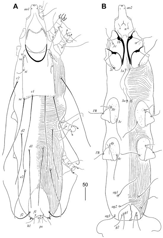 Animals 15 03227 g001