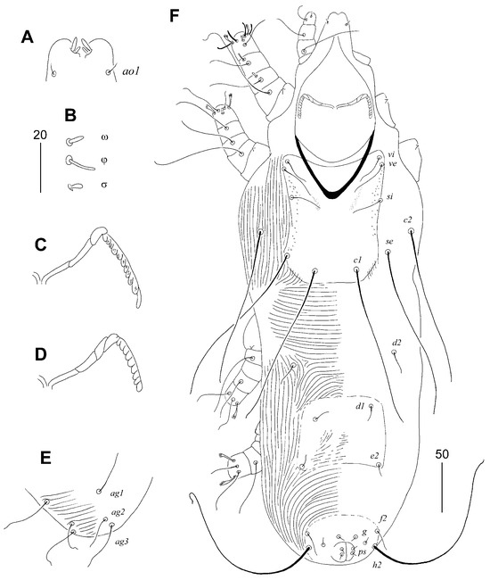 Animals 15 03227 g002