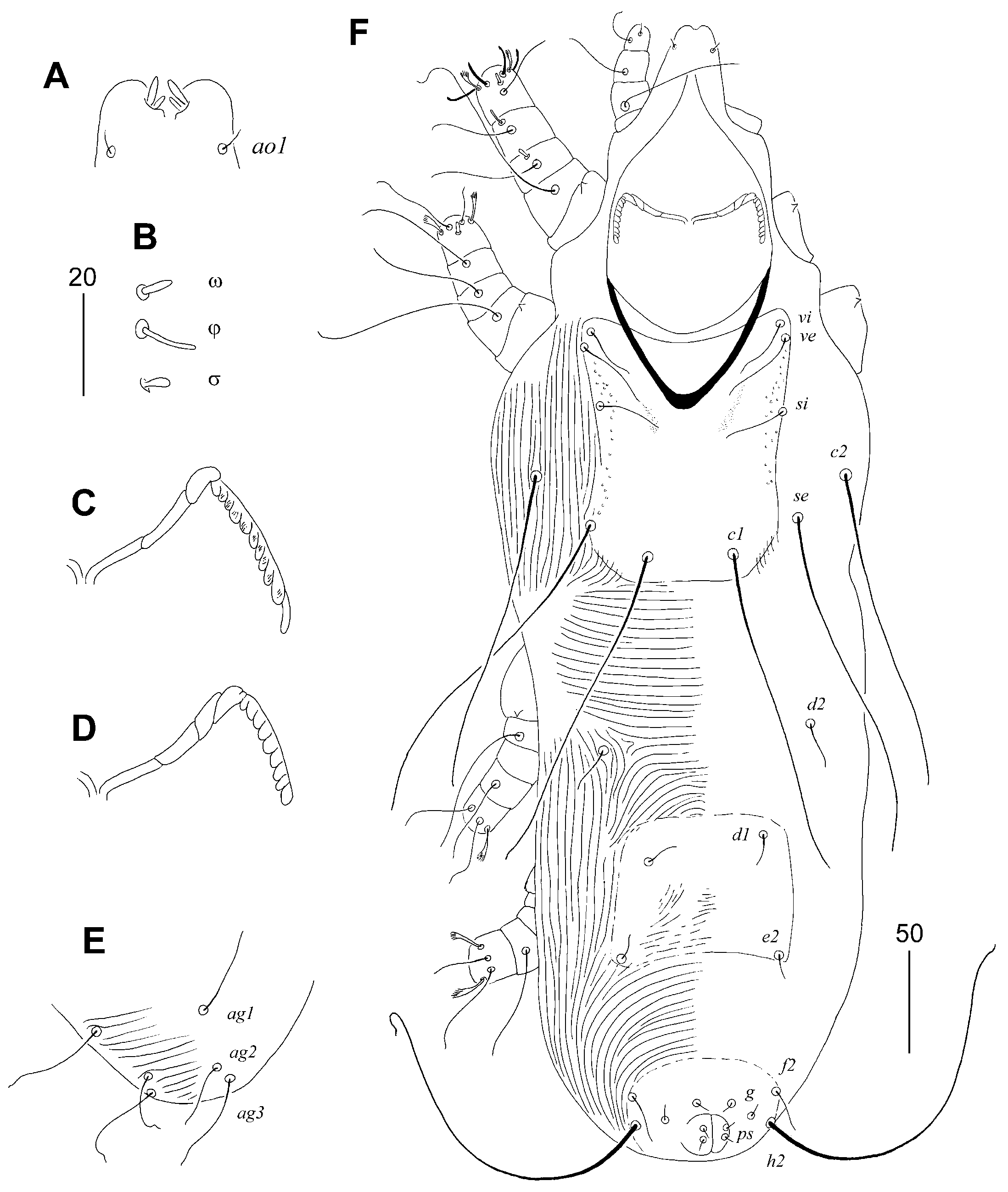 Animals 15 03227 g002