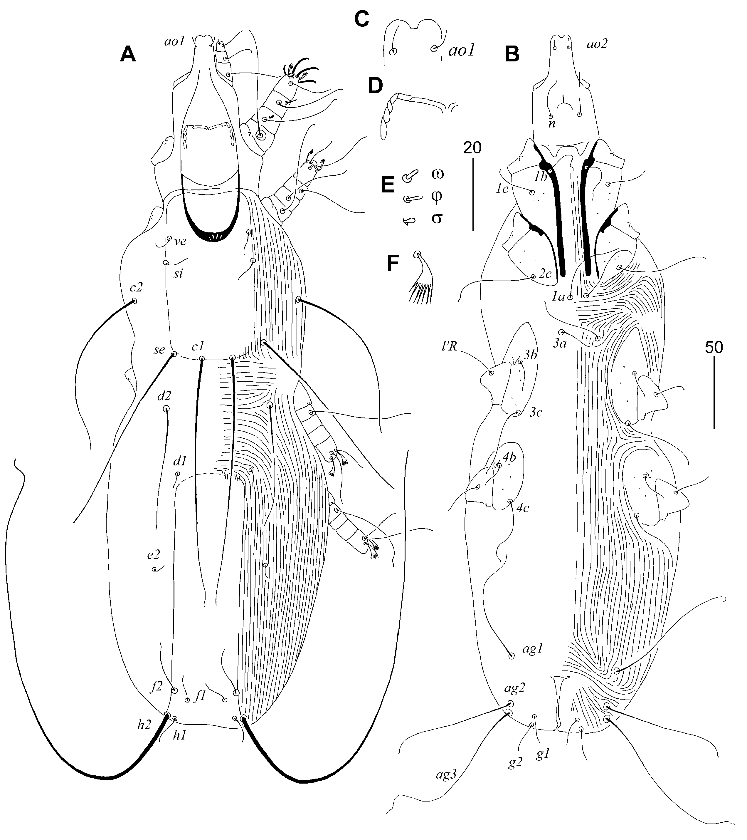 Animals 15 03227 g003