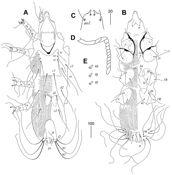 Animals 15 03227 g004