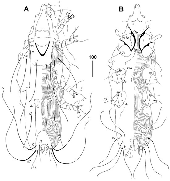 Animals 15 03227 g005
