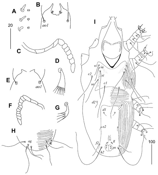 Animals 15 03227 g006